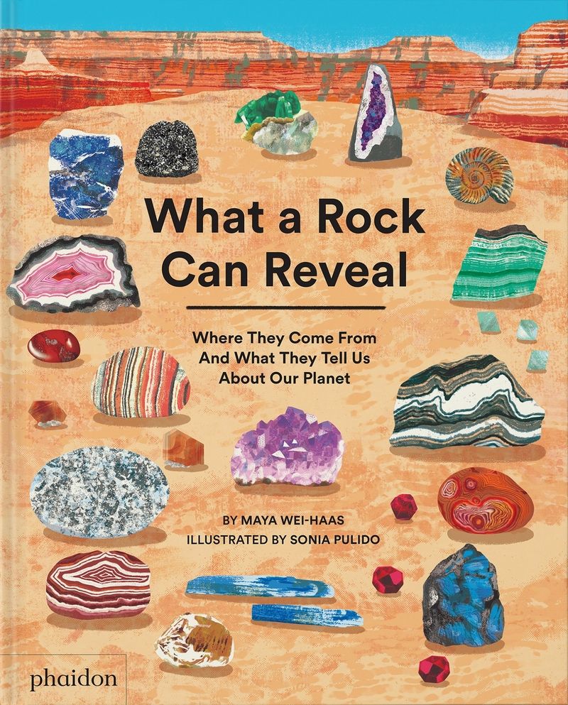 WHAT A ROCK CAN REVEAL. WHERE THEY COME FROM AND WHAT THEY TELL US ABOUT OUR PLANET