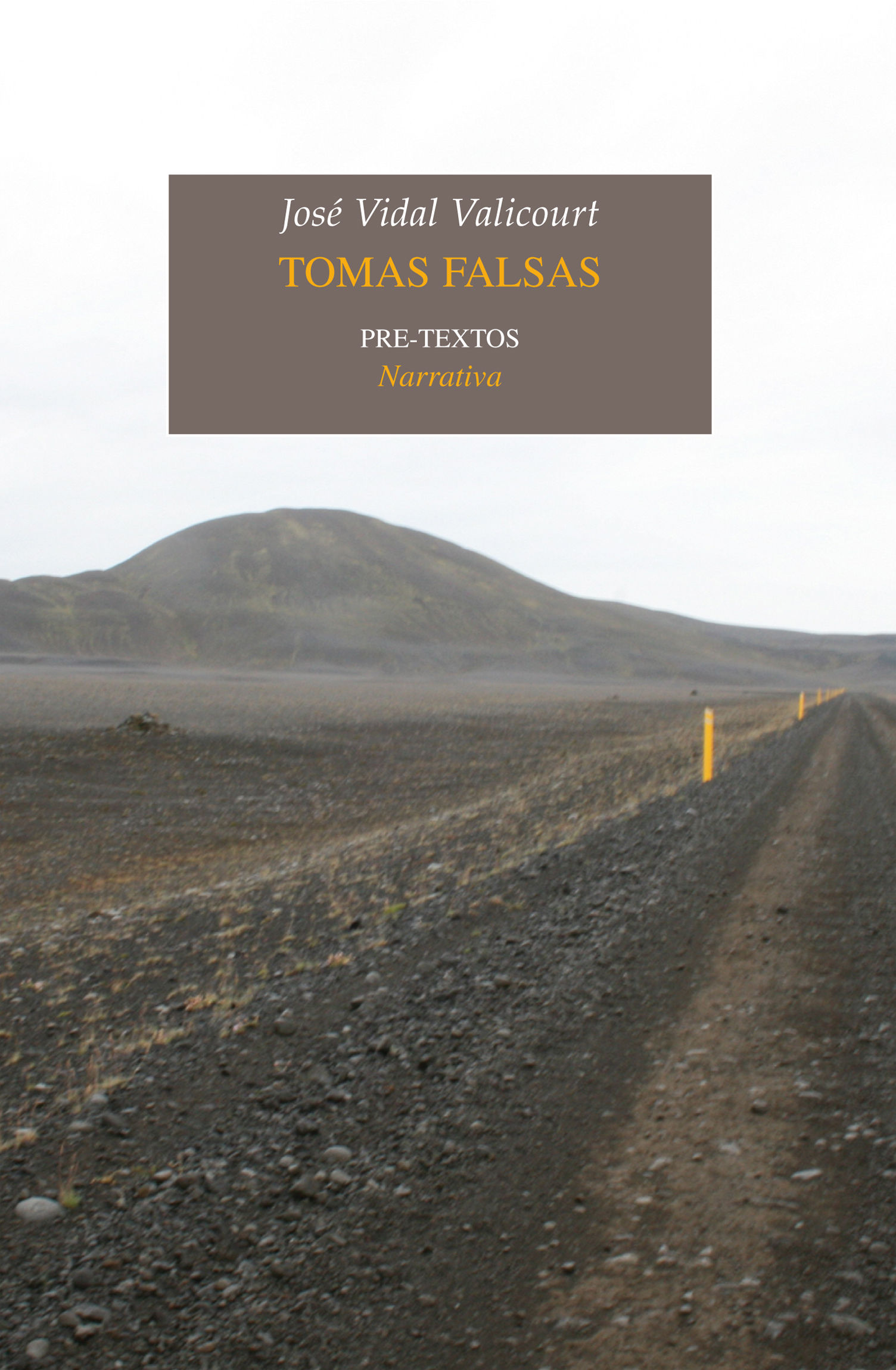 TOMAS FALSAS. (PREMIO DE NOVELA BREVE JUAN MARCH CENCILLO 2011)