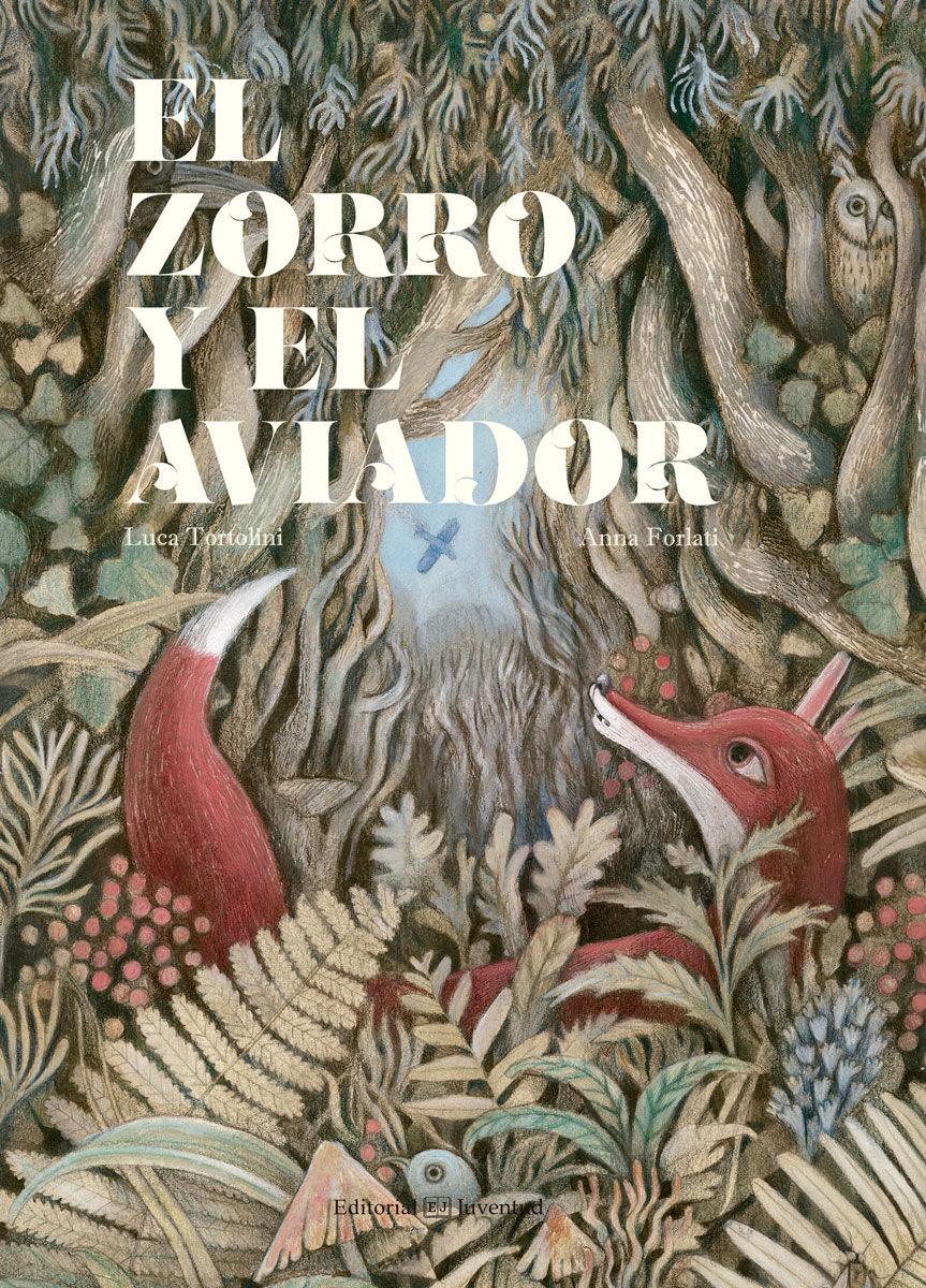 EL ZORRO Y EL AVIADOR. 