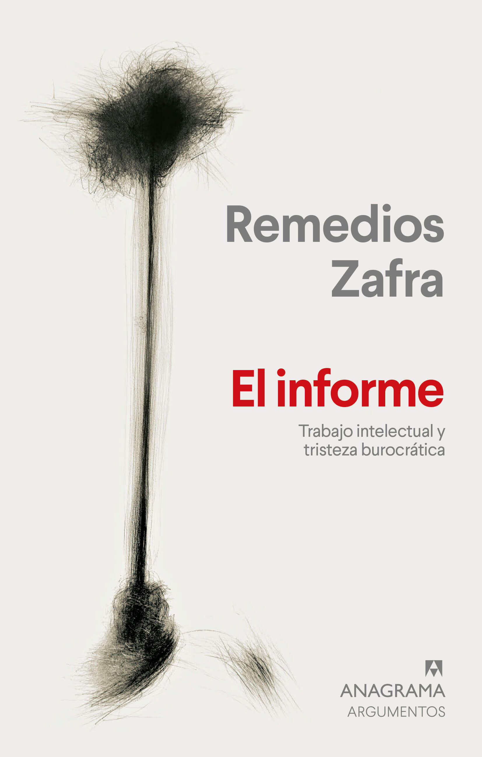 El informe, de Remedios Zafra
