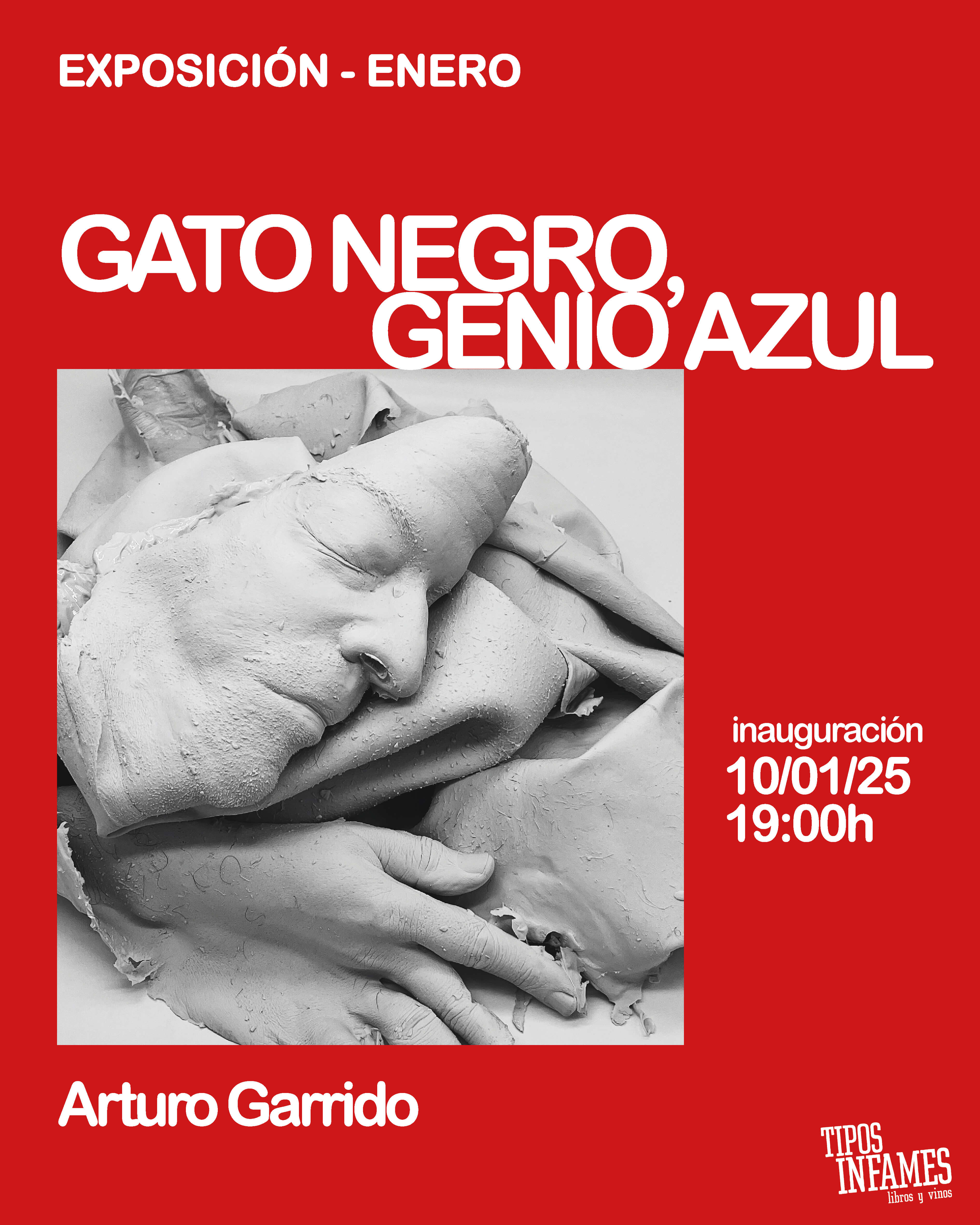 Exposición: Gato negro, genio azul, de Arturo Garrido