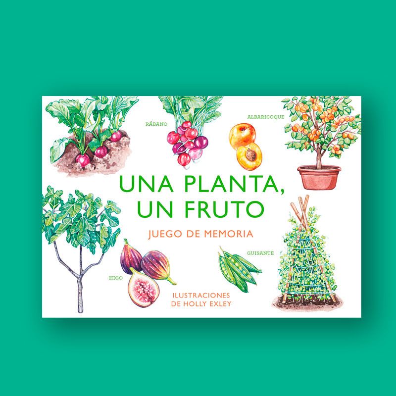 UNA PLANTA UN FRUTO