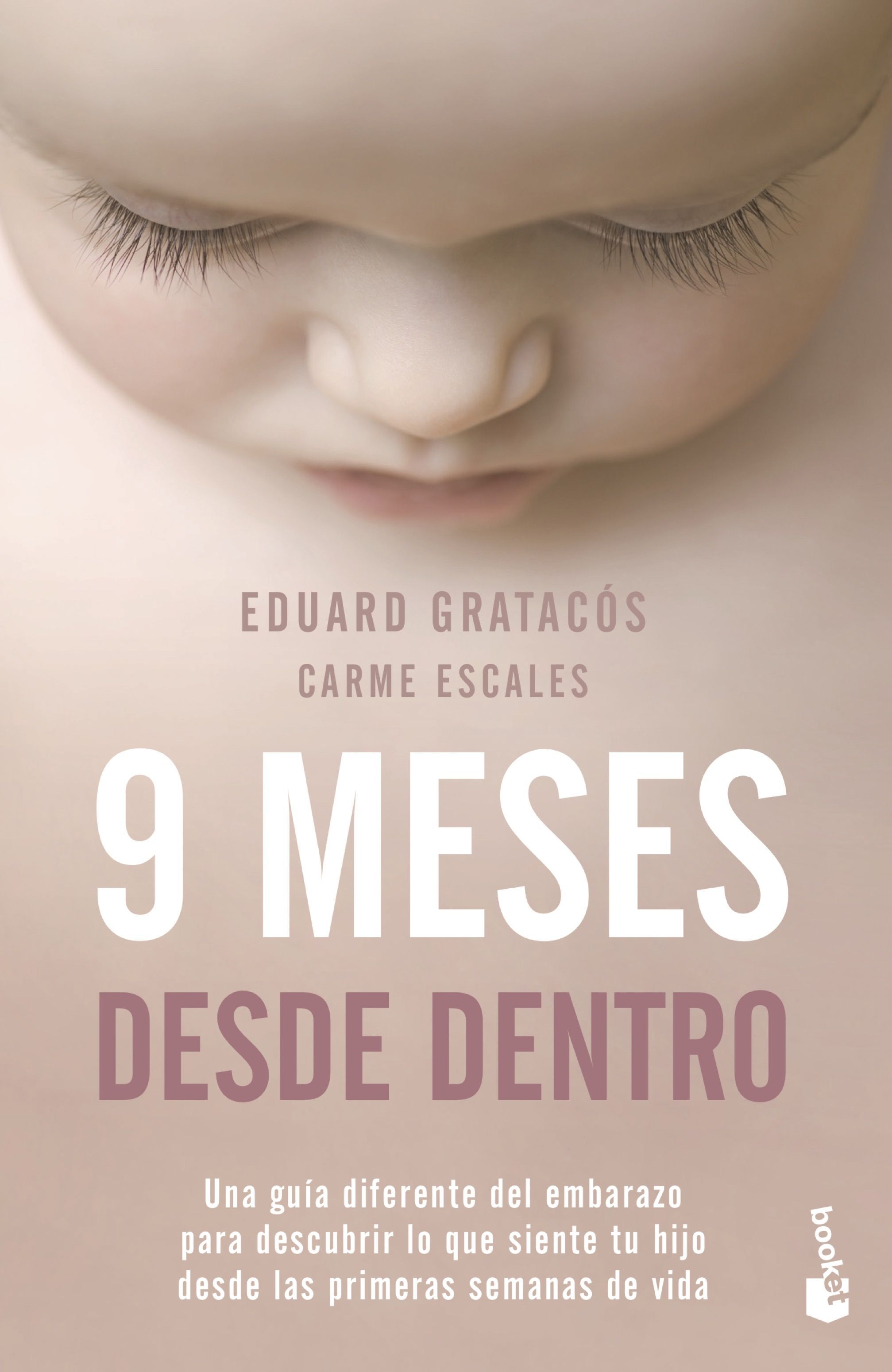 9 MESES DESDE DENTRO. UNA GUÍA DIFERENTE DEL EMBARAZO PARA DESCUBRIR LO QUE SIENTE TU HIJO DESDE LAS P