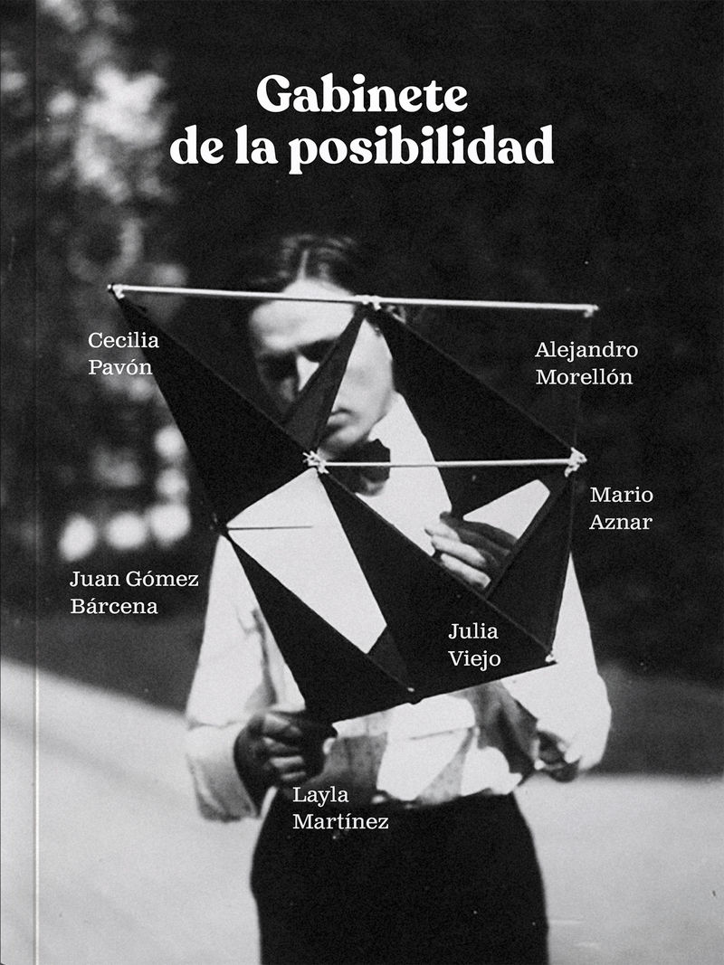 Tipos Infames: · GABINETE DE LA POSIBILIDAD · AZNAR, MARIO: GÓMEZ BÁRCENA,  JUAN: MARTINEZ, LAYLA: MORELLON, ALEJANDRO: PAVÓN, CECILIA: VIEJO, JULIA:  COMISURA -978-84-09-53533-0