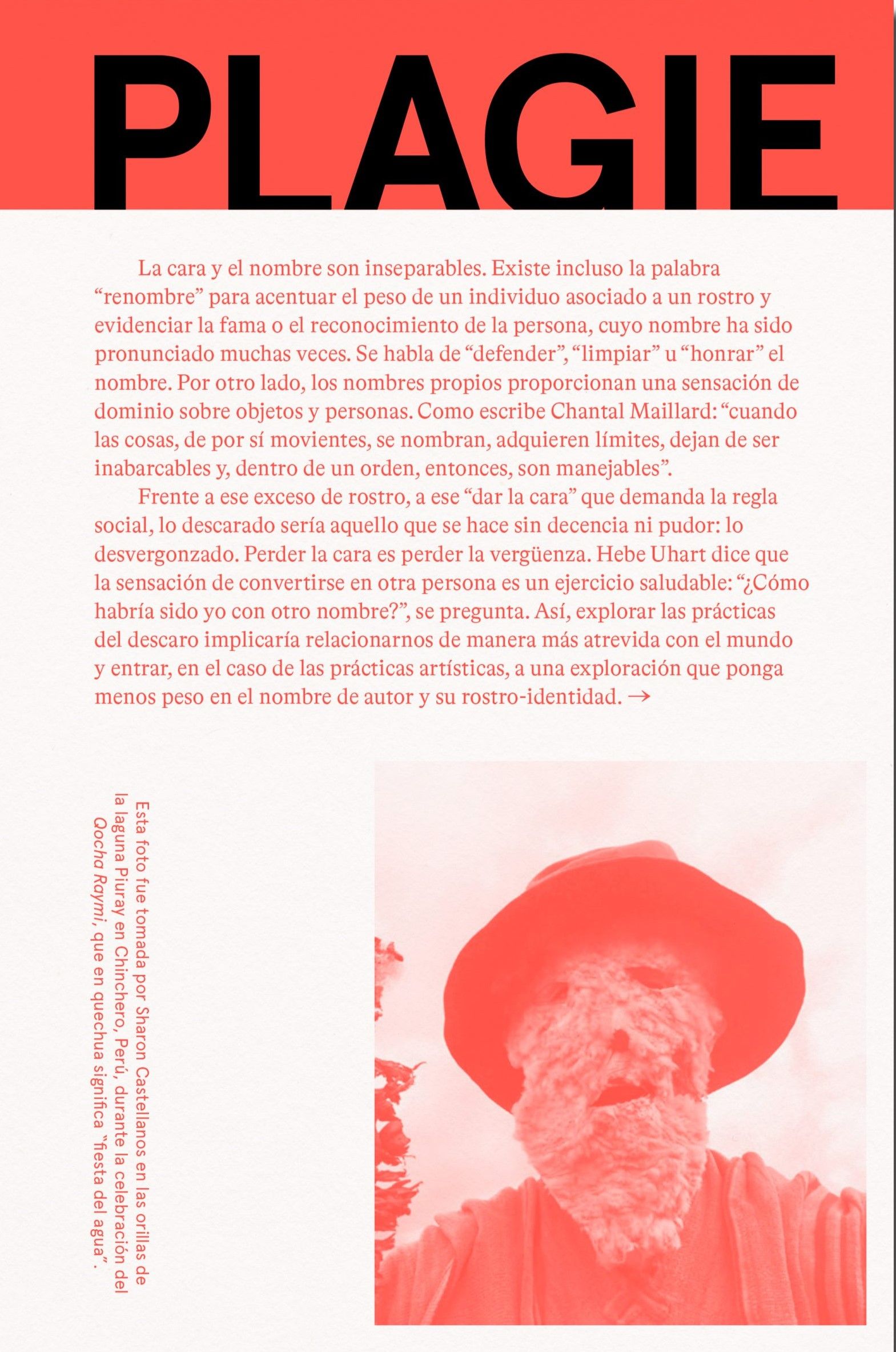 PLAGIE COPIE MANIPULE ROBE REESCRIBA ESTE LIBRO