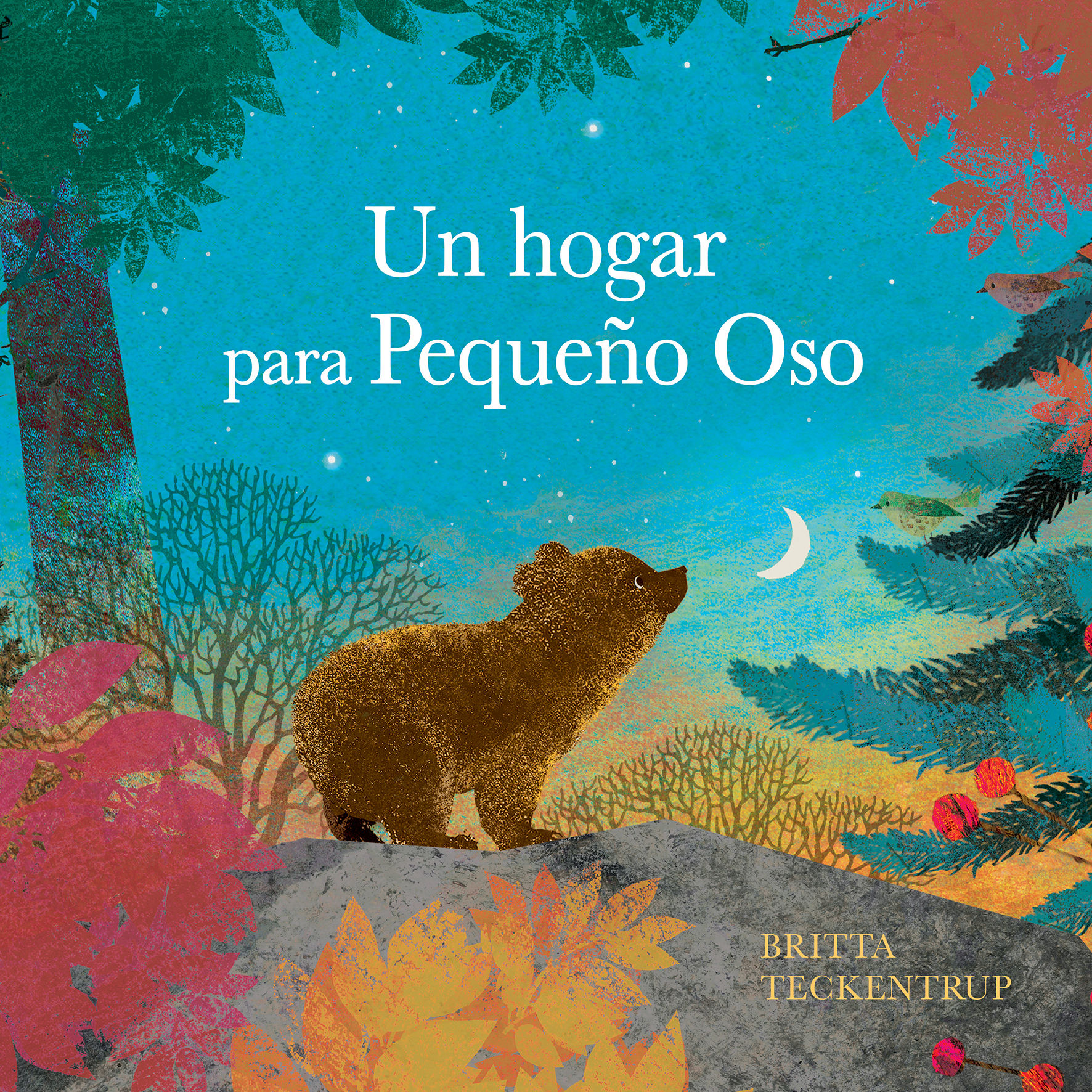 UN HOGAR PARA PEQUEÑO OSO.