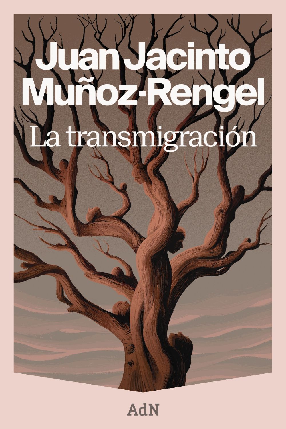 LA TRANSMIGRACIÓN