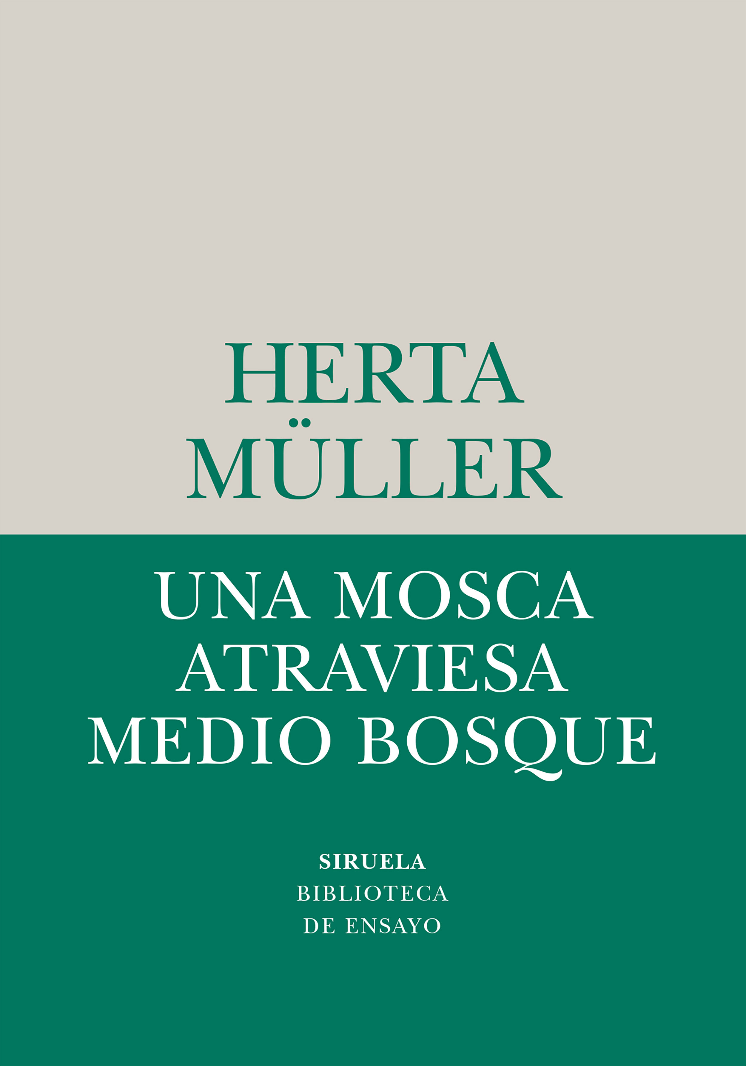 UNA MOSCA ATRAVIESA MEDIO BOSQUE