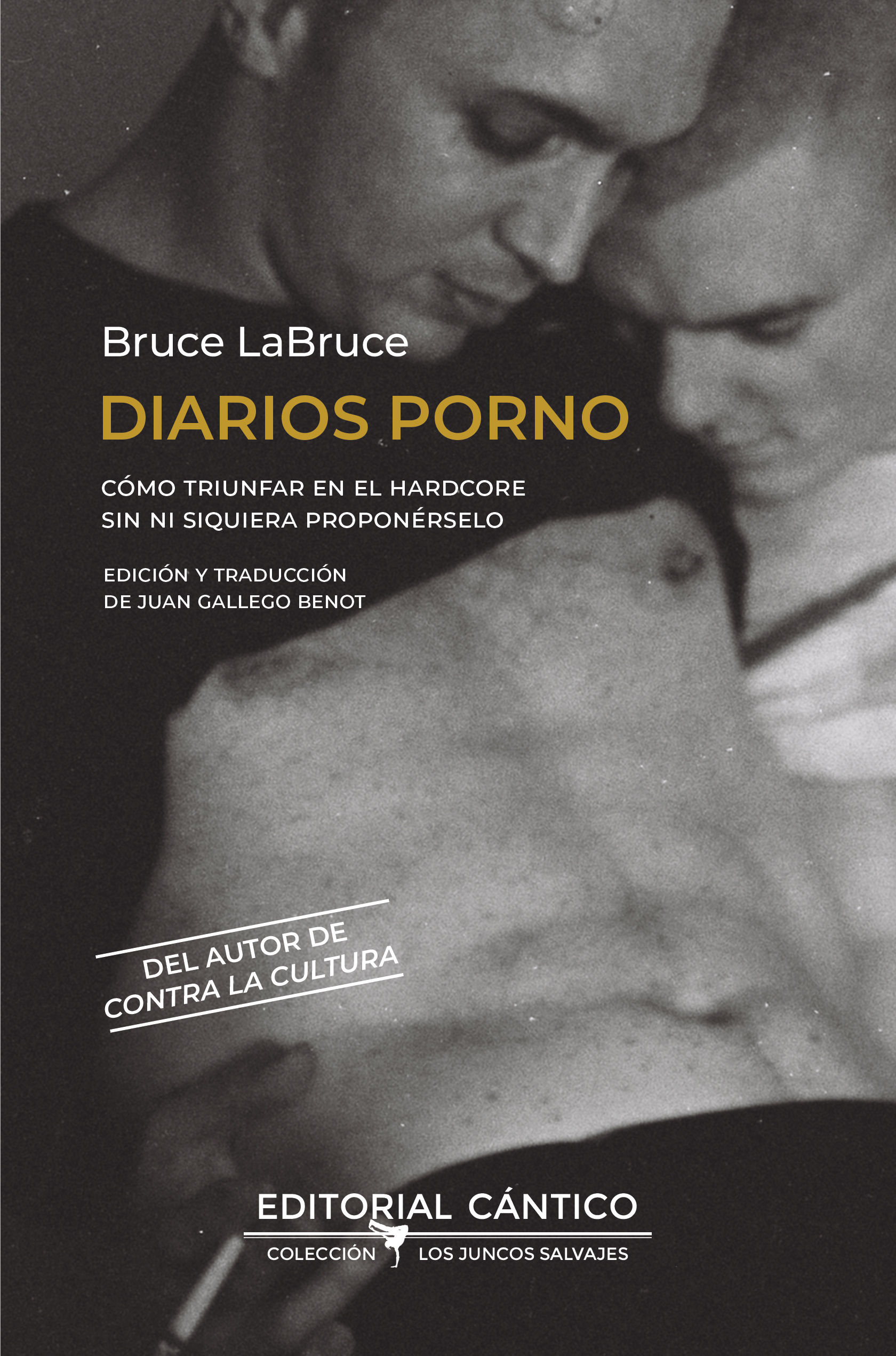 DIARIOS PORNO