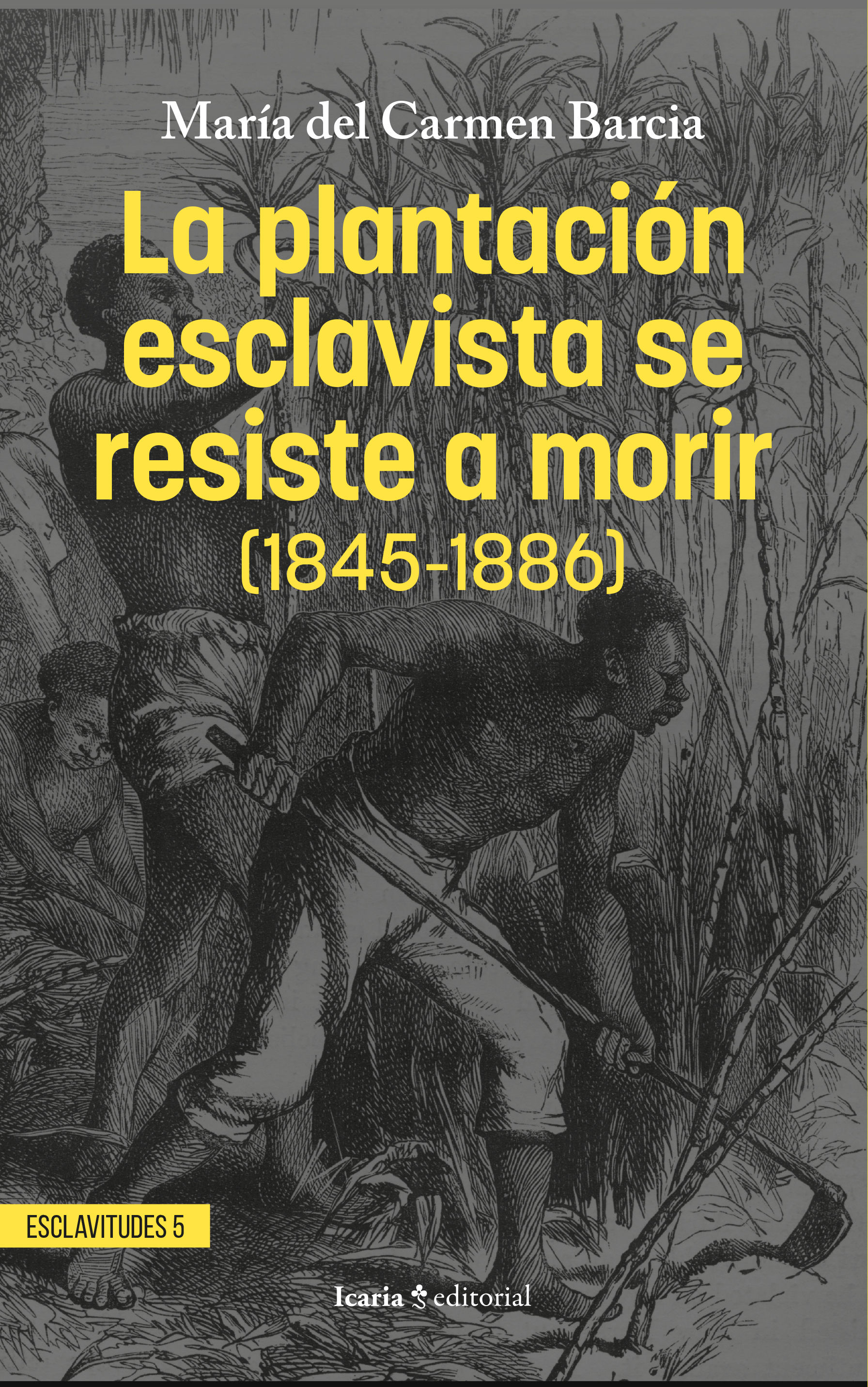 LA PLANTACIÓN ESCLAVISTA SE RESISTE A MORIR