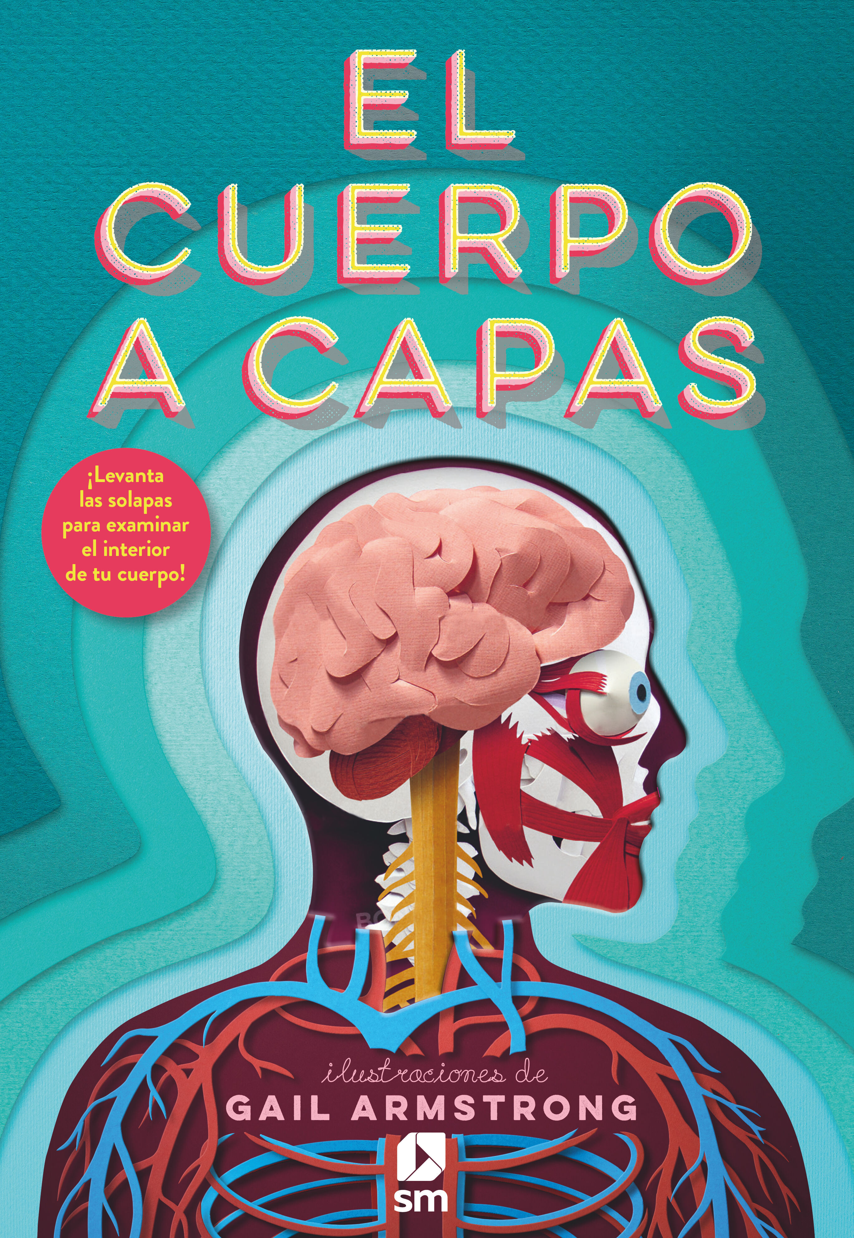 EL CUERPO A CAPAS. 