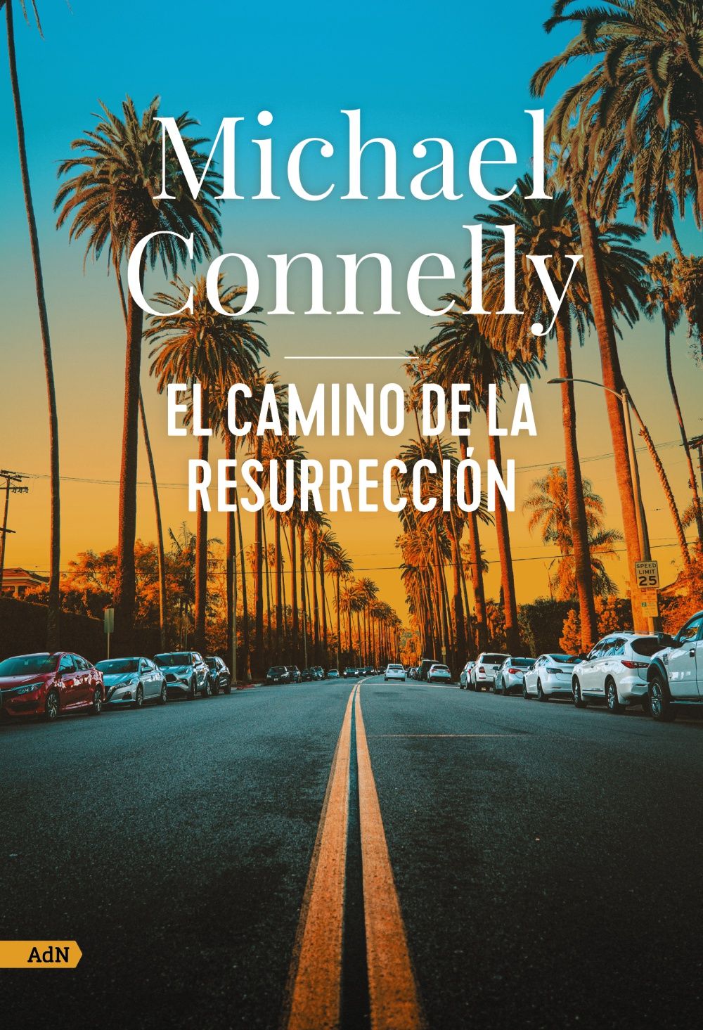 EL CAMINO DE LA RESURRECCIÓN. 