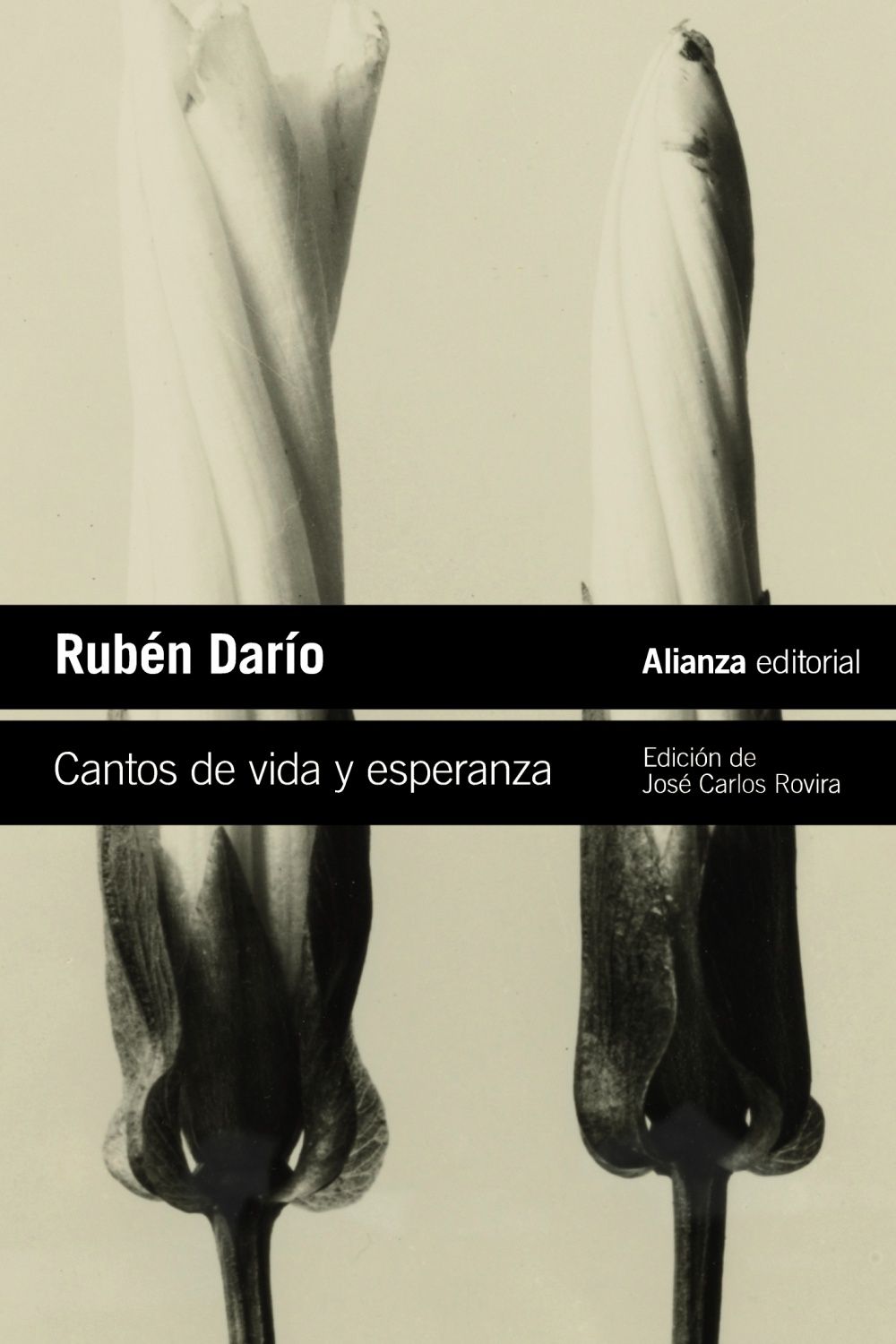 CANTOS DE VIDA Y ESPERANZA. LOS CISNES Y OTROS POEMAS