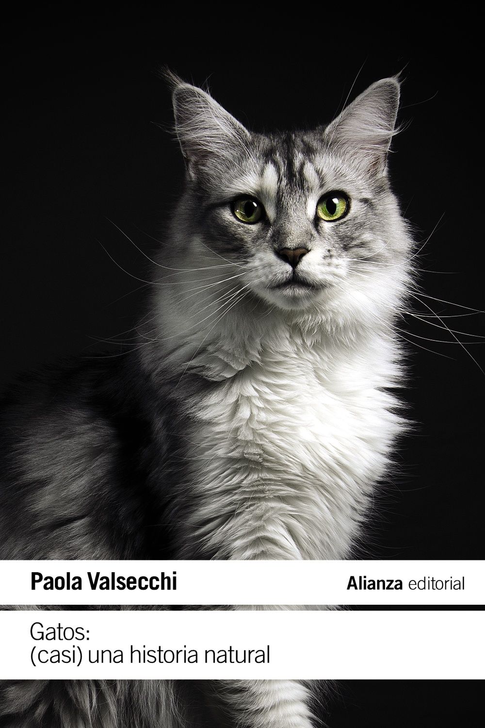 GATOS: (CASI) UNA HISTORIA NATURAL