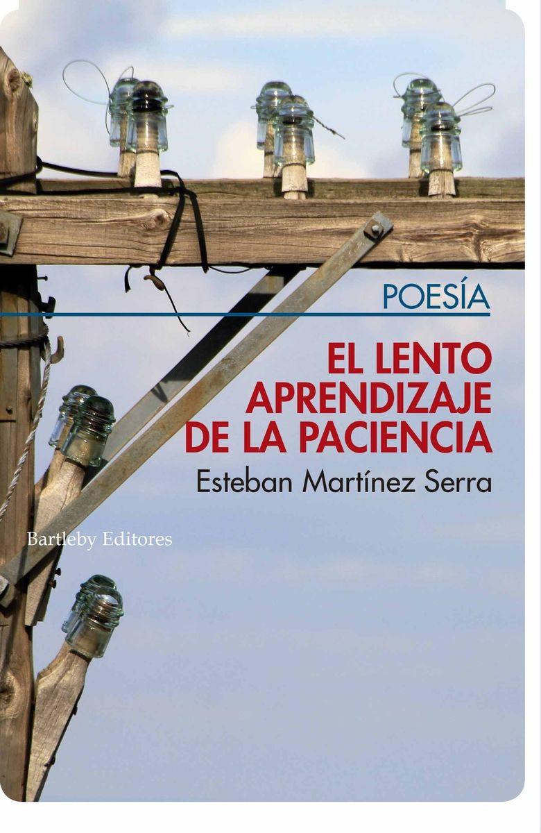 EL LENTO APRENDIZAJE DE LA PACIENCIA.