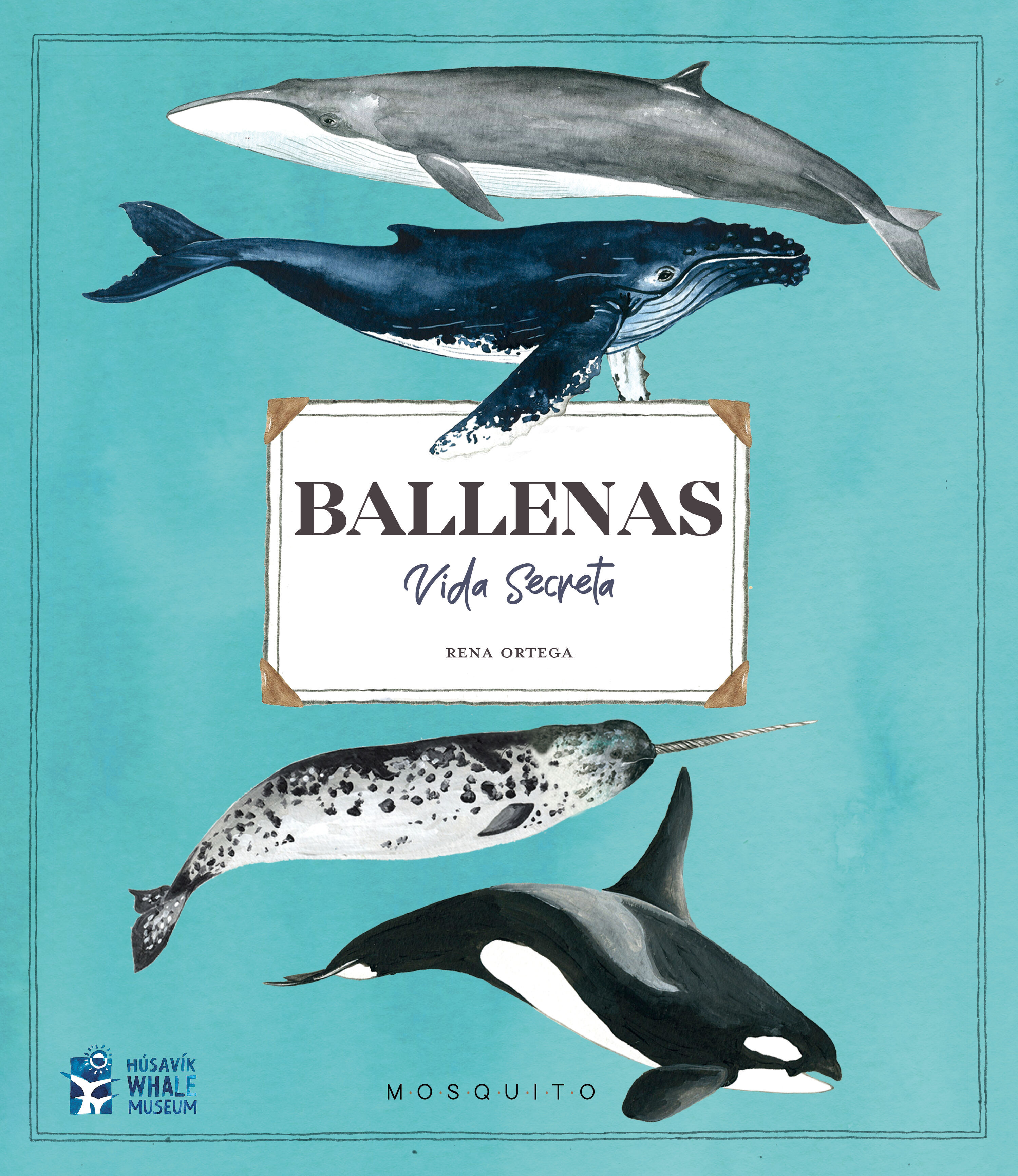 BALLENAS VIDA SECRETA. 