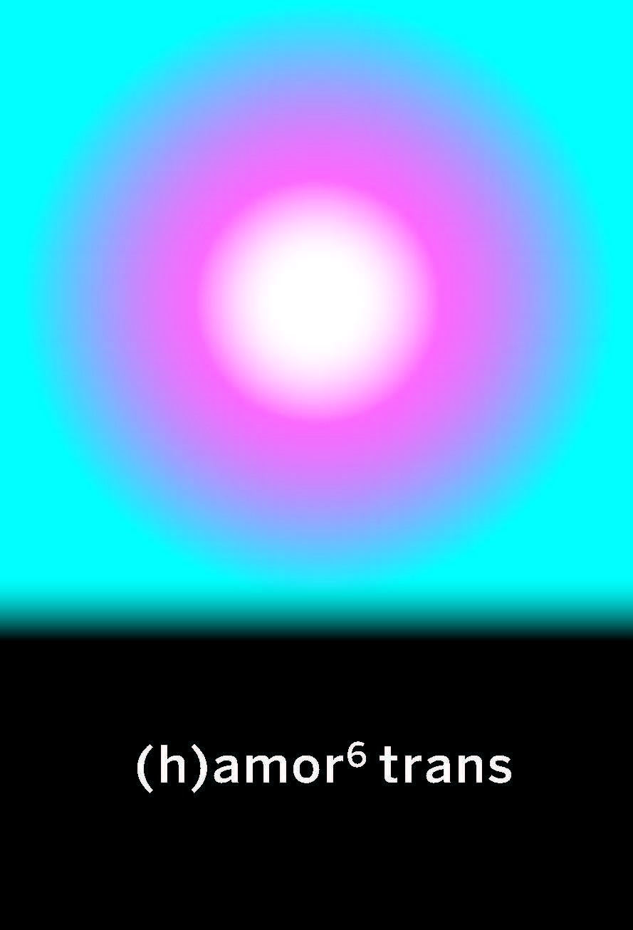 (H)AMOR 6 TRANS. 