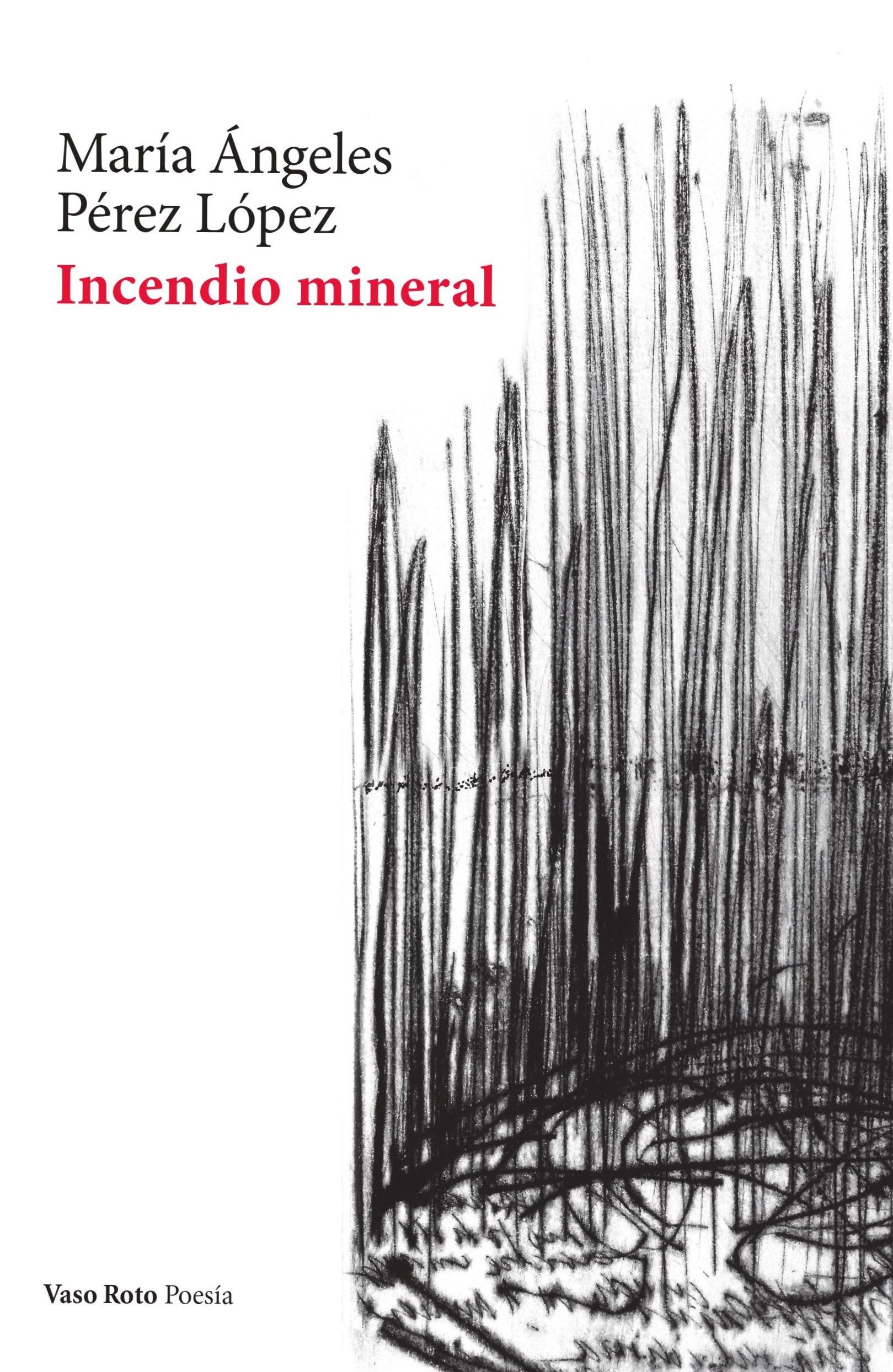 INCENDIO MINERAL