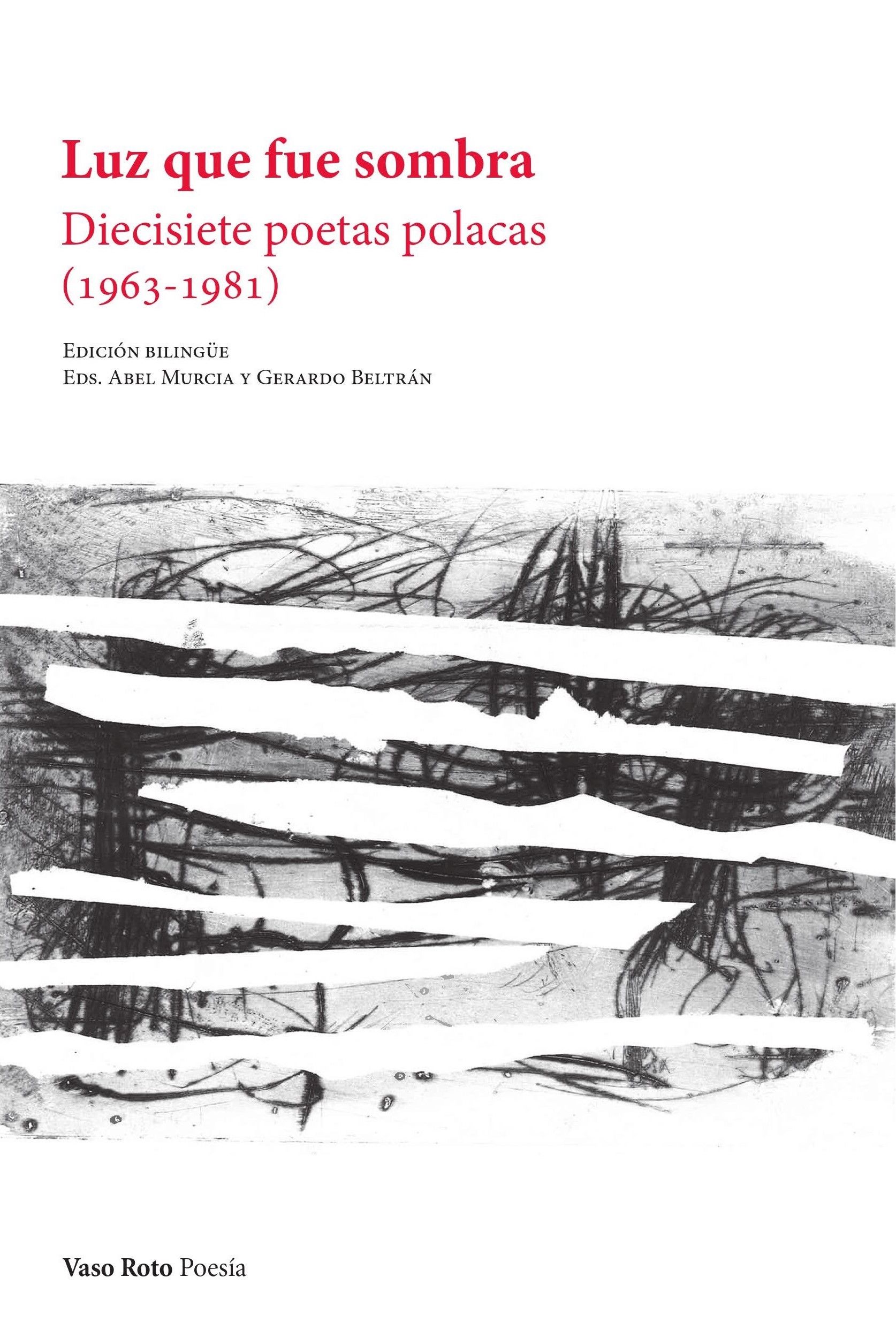 LUZ QUE FUE SOMBRA. DIECISIETE POETAS POLACAS (1963-1981)