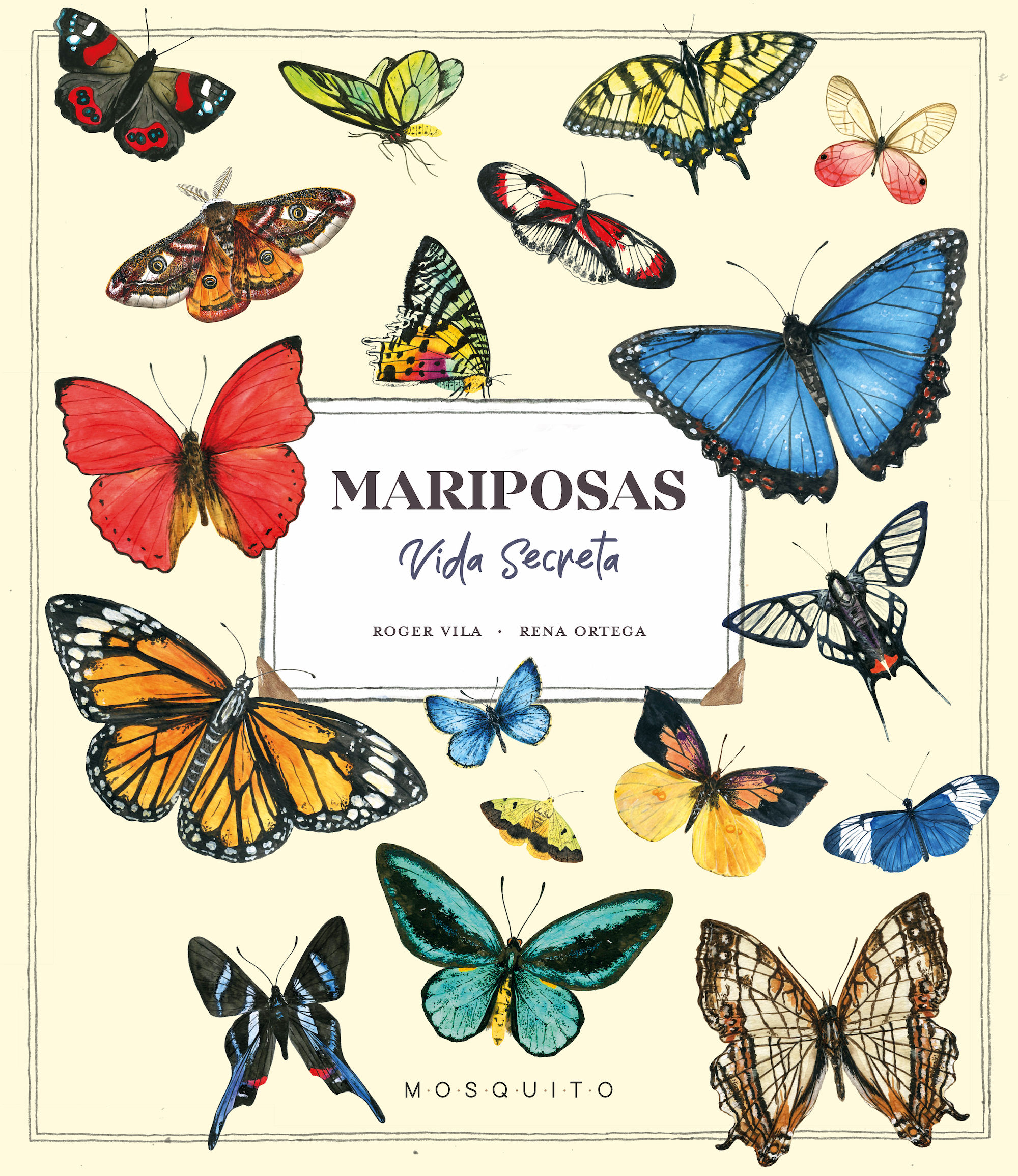 MARIPOSAS. VIDA SECRETA. 