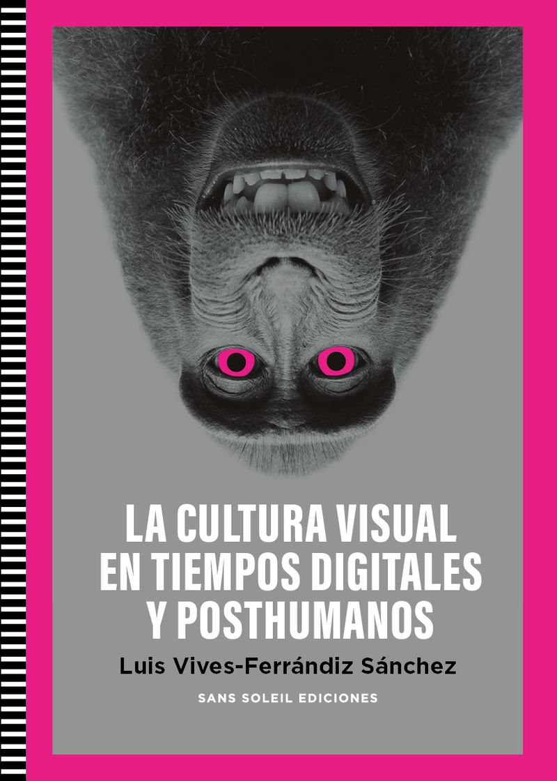 CULTURA VISUAL EN TIEMPOS DIGITALES Y POSTHUMANOS. 