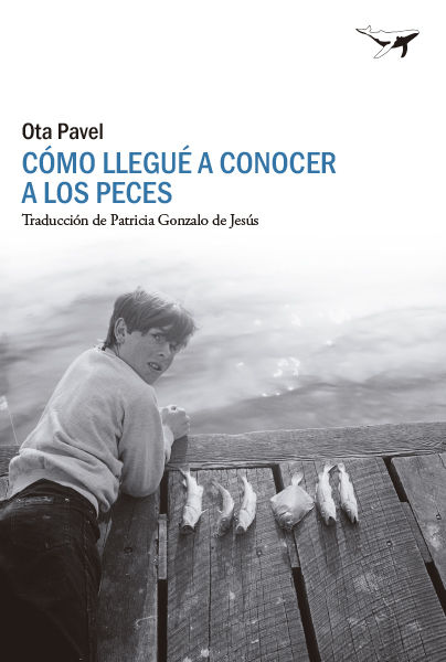 COMO LLEGUÉ A CONOCER A LOS PECES. 