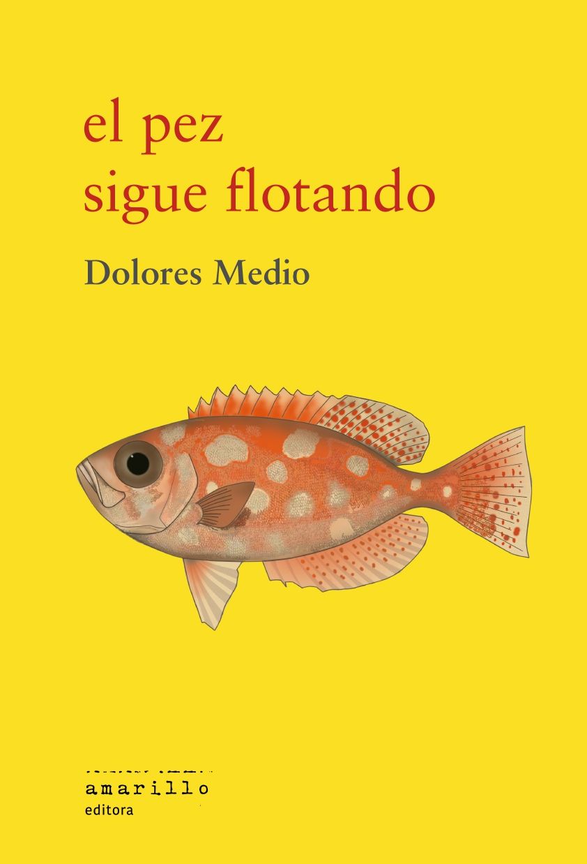 EL PEZ SIGUE FLOTANDO.