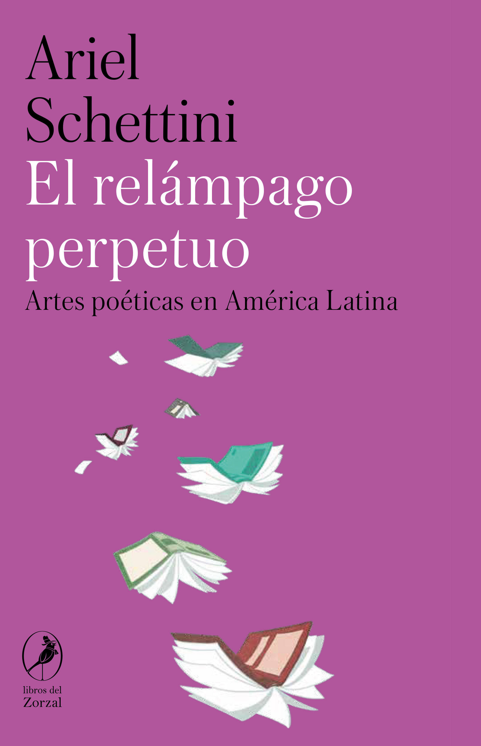 EL RELÁMPAGO PERPETUO