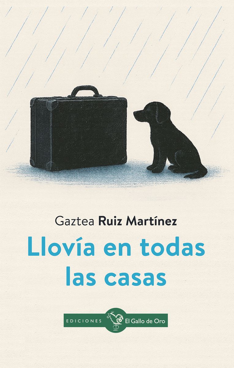 LLOVÍA EN TODAS LAS CASAS