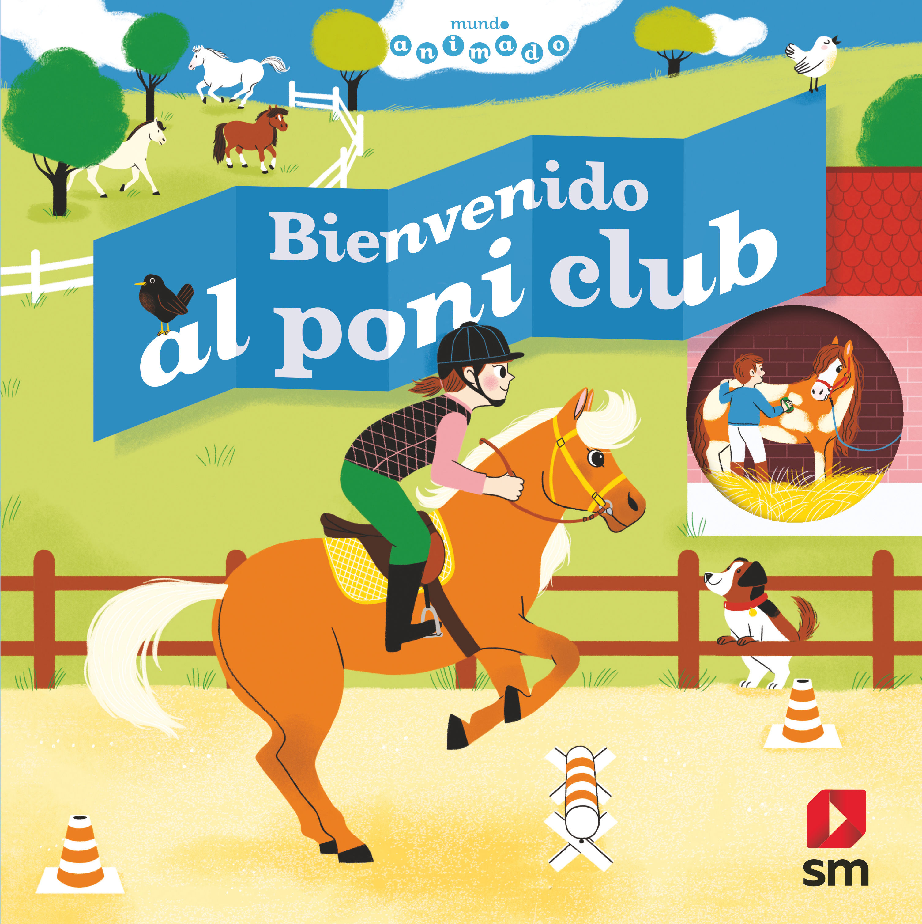 BIENVENIDO AL PONI CLUB. 