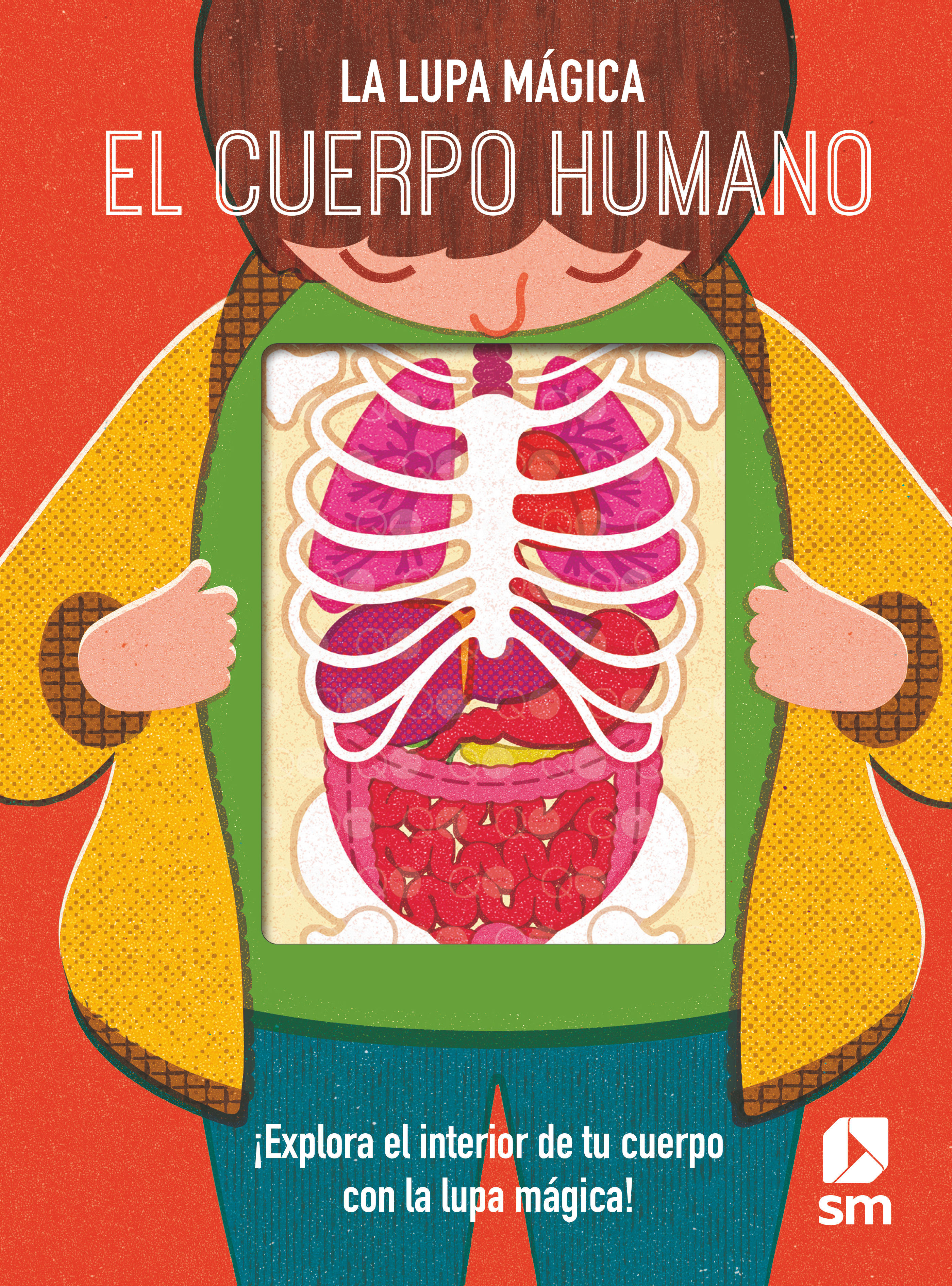 EL CUERPO HUMANO. 