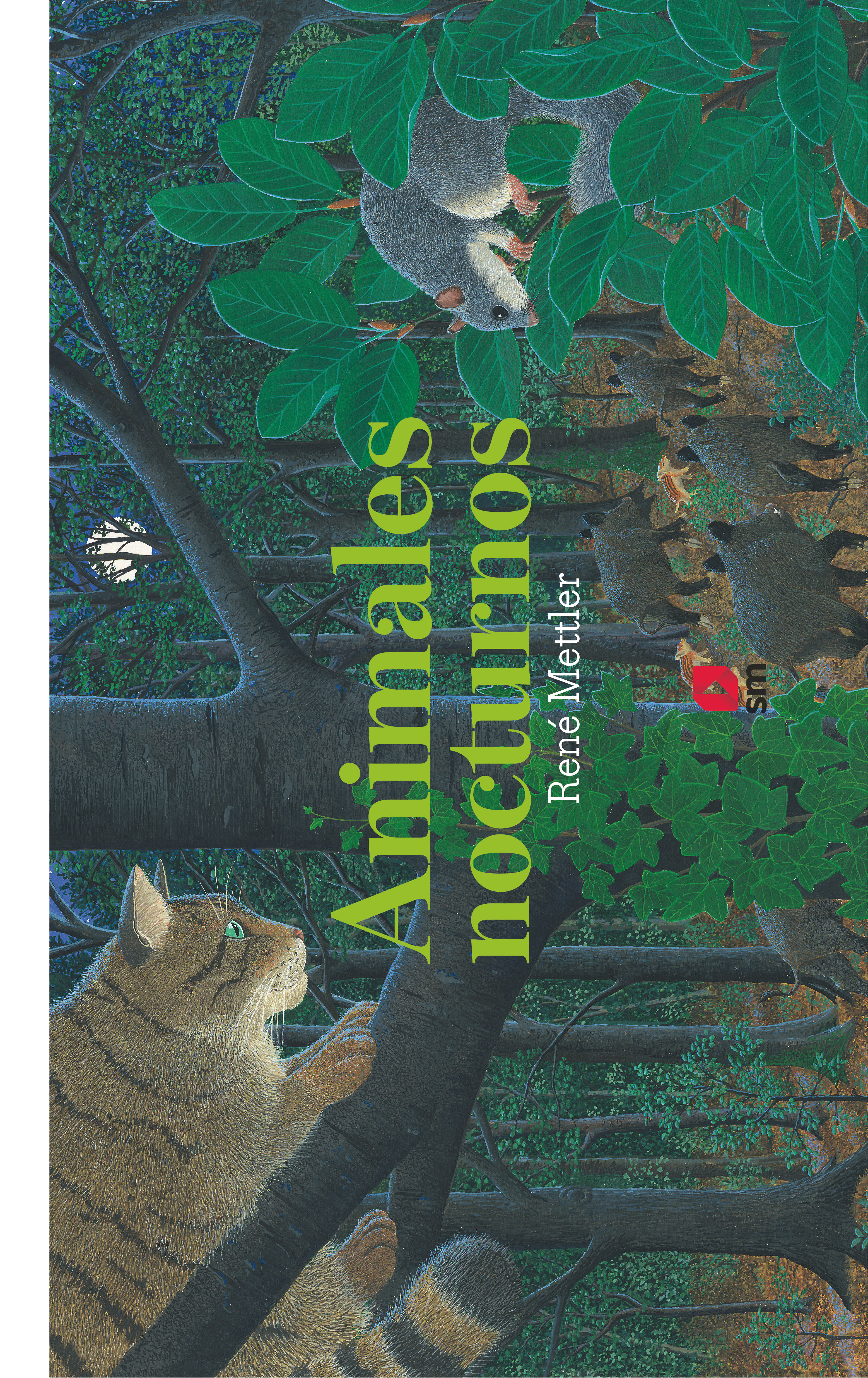 LOS ANIMALES NOCTURNOS.