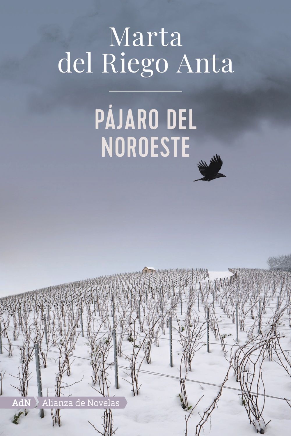 PÁJARO DEL NOROESTE