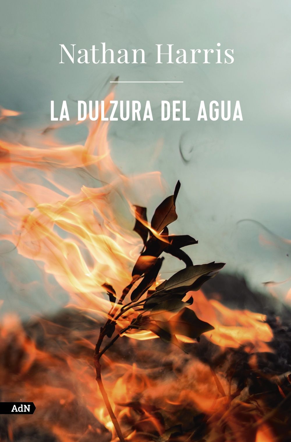 LA DULZURA DEL AGUA. 