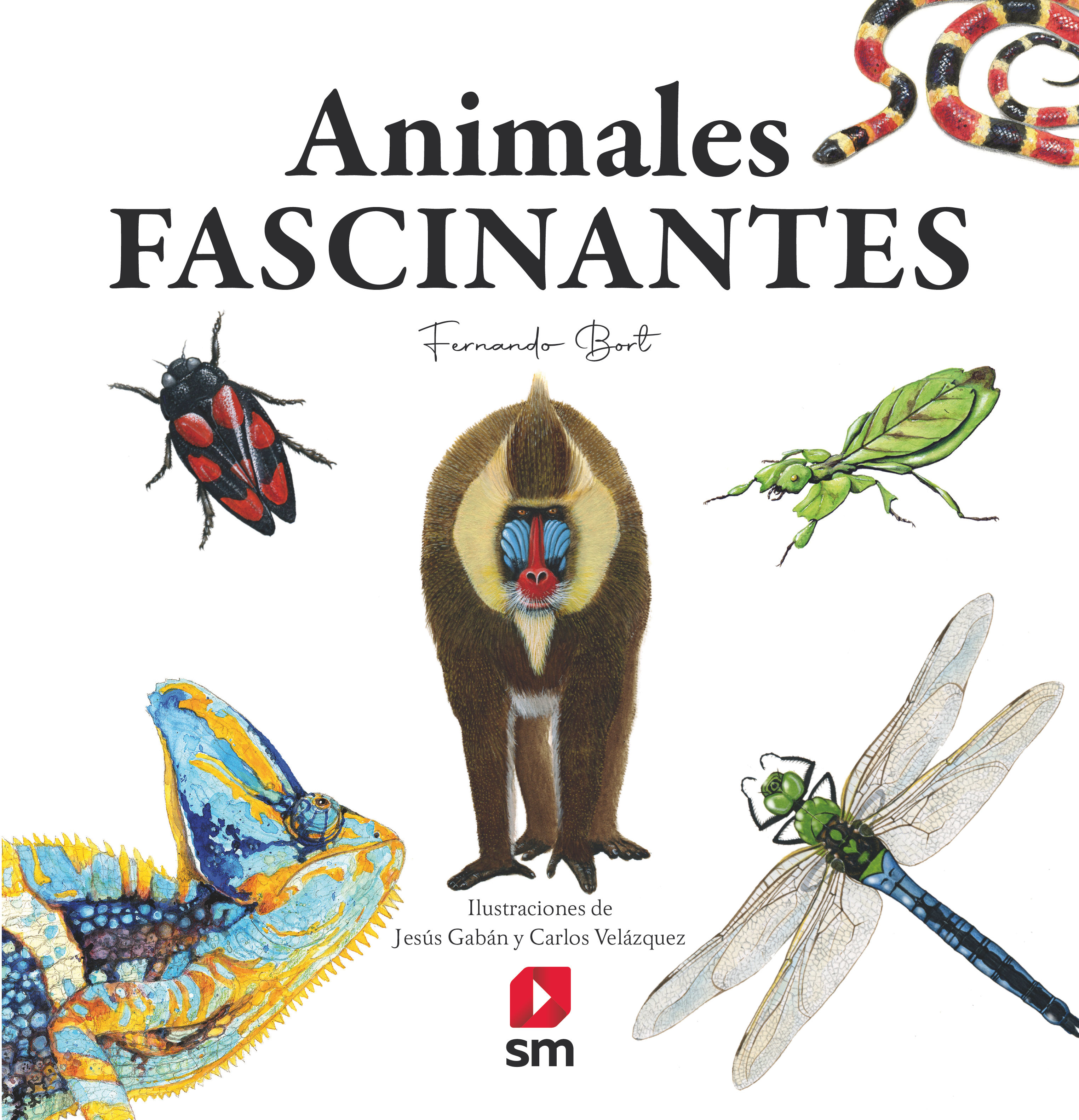 ANIMALES FASCINANTES. 