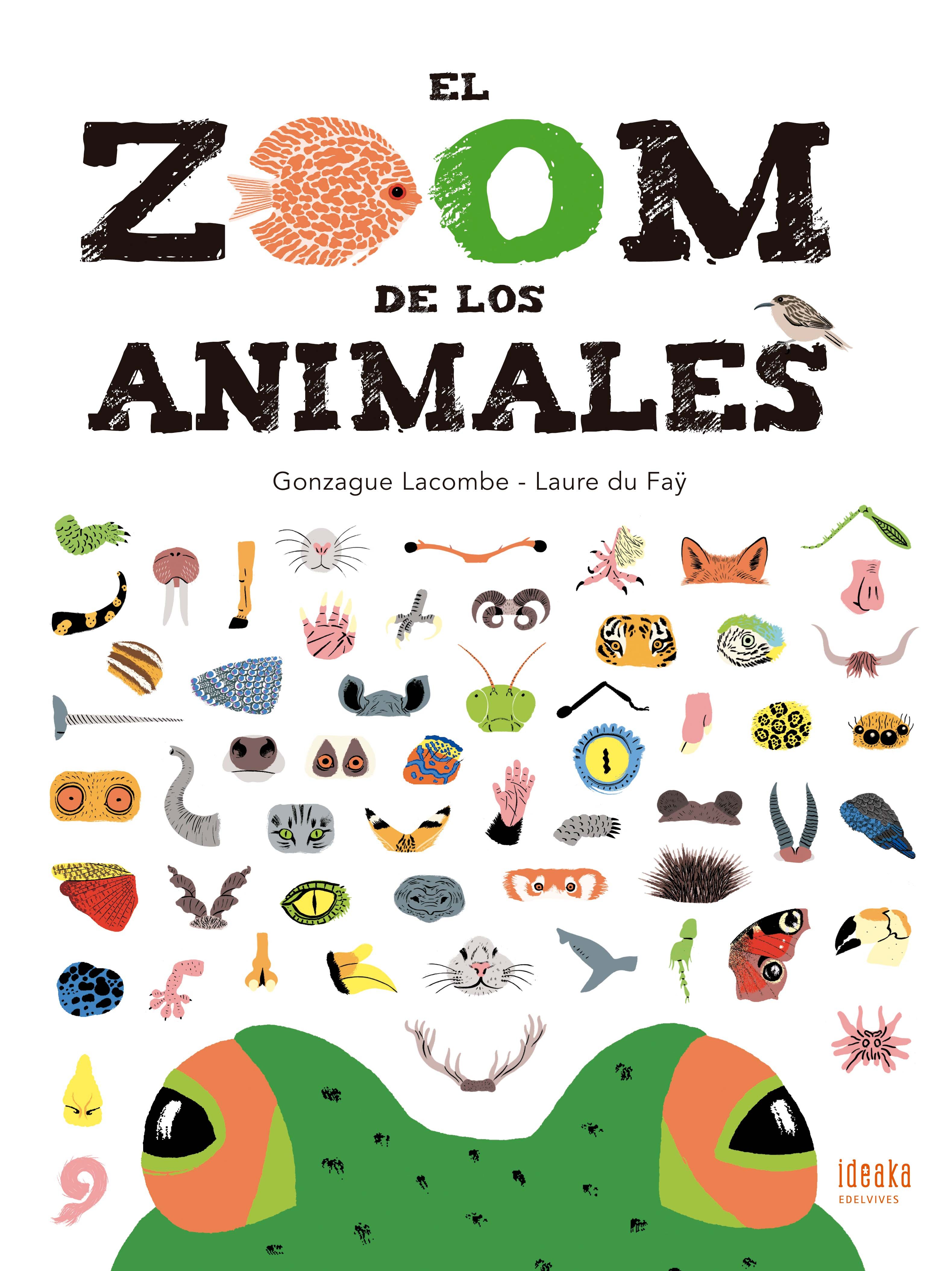 EL ZOOM DE LOS ANIMALES. 