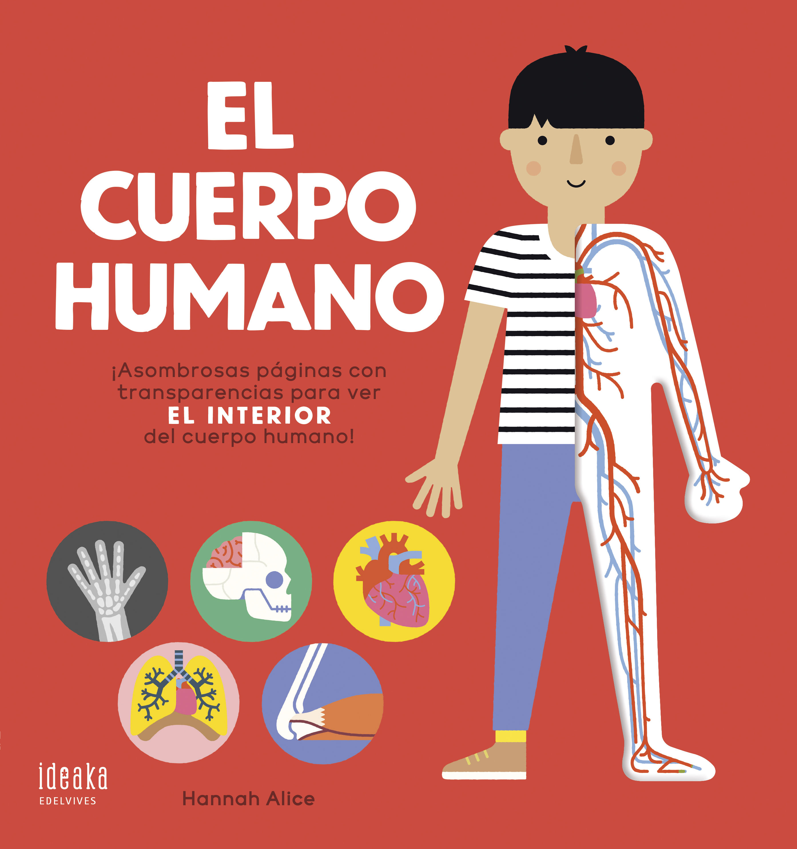 EL CUERPO HUMANO. 