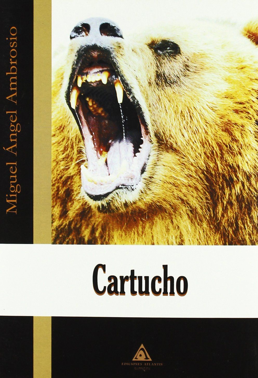 CARTUCHO