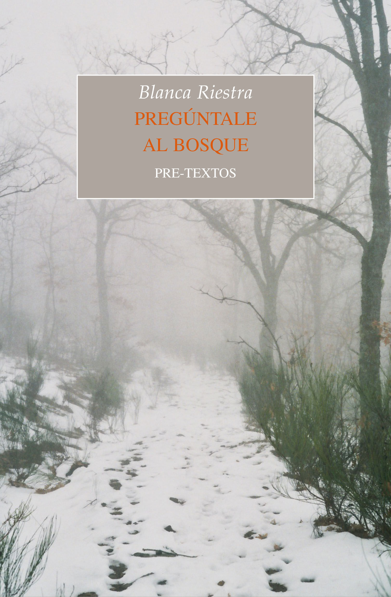 PREGÚNTALE AL BOSQUE. PREMIO INTERNACIONAL DE NOVELA CORTA CIUDAD DE BARBASTRO 2013