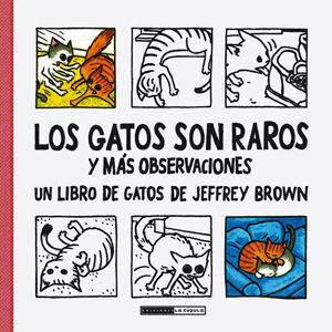 LOS GATOS SON RAROS