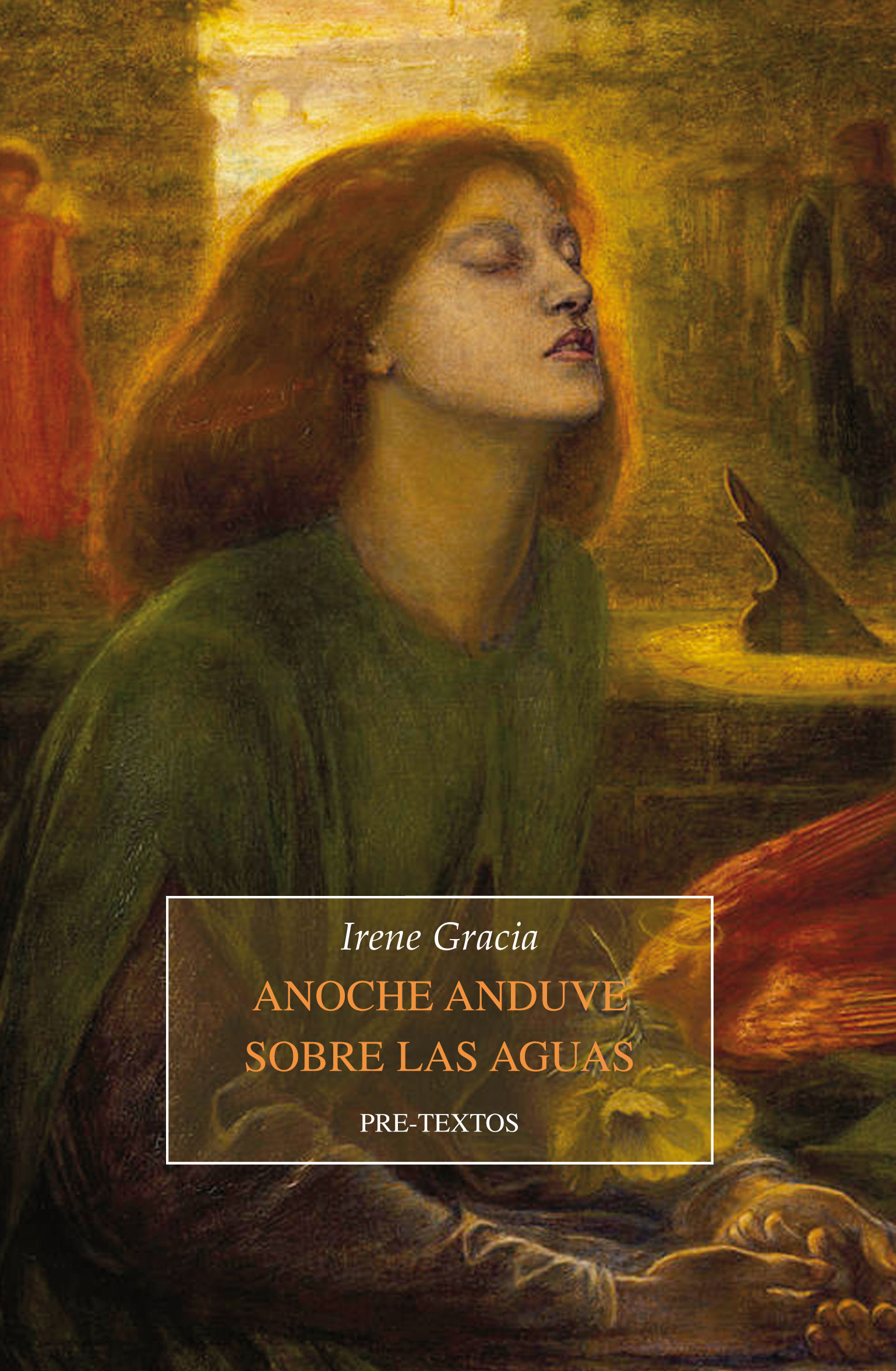 ANOCHE ANDUVE SOBRE LAS AGUAS. PREMIO DE NOVELA BREVE JUAN MARCH CENCILLO 2014