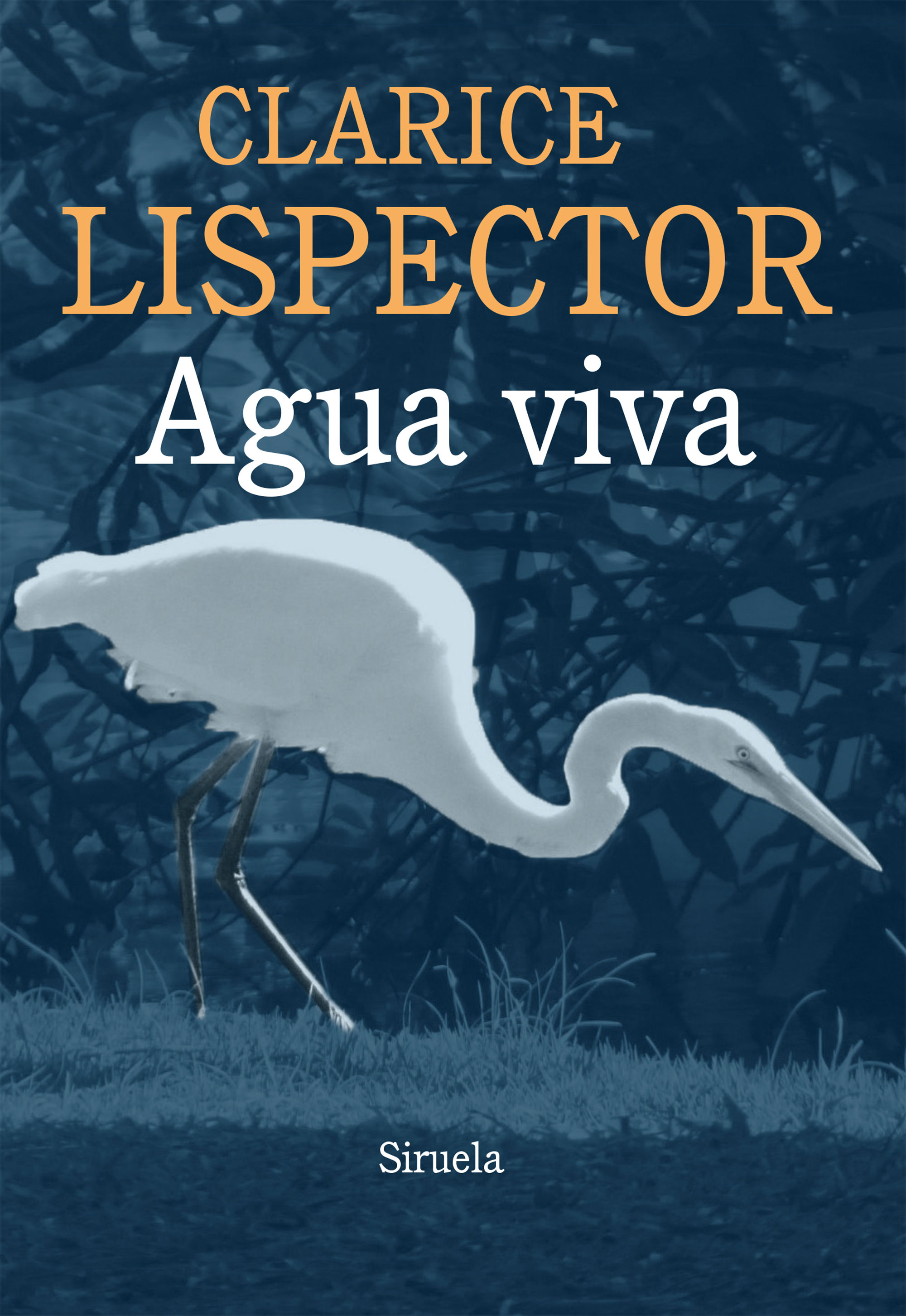 AGUA VIVA.