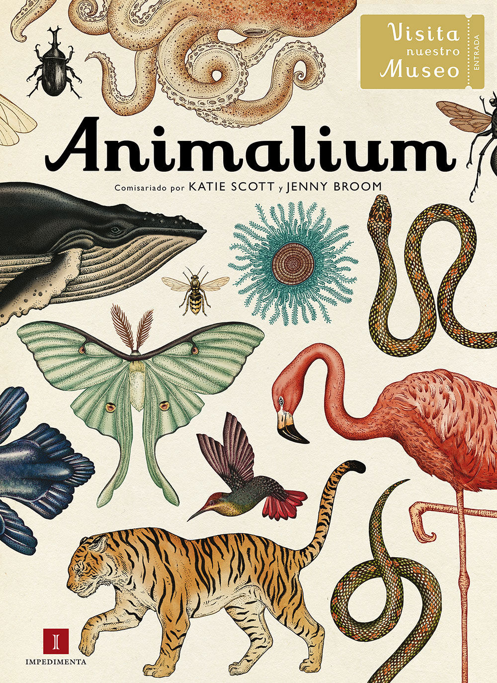 ANIMALIUM. 