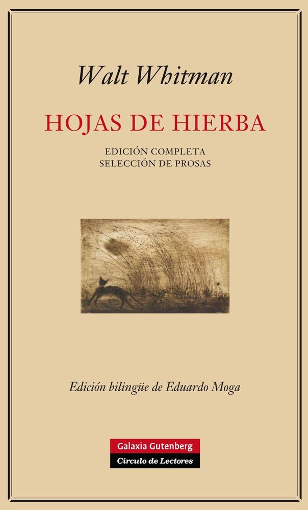 HOJAS DE HIERBA. 