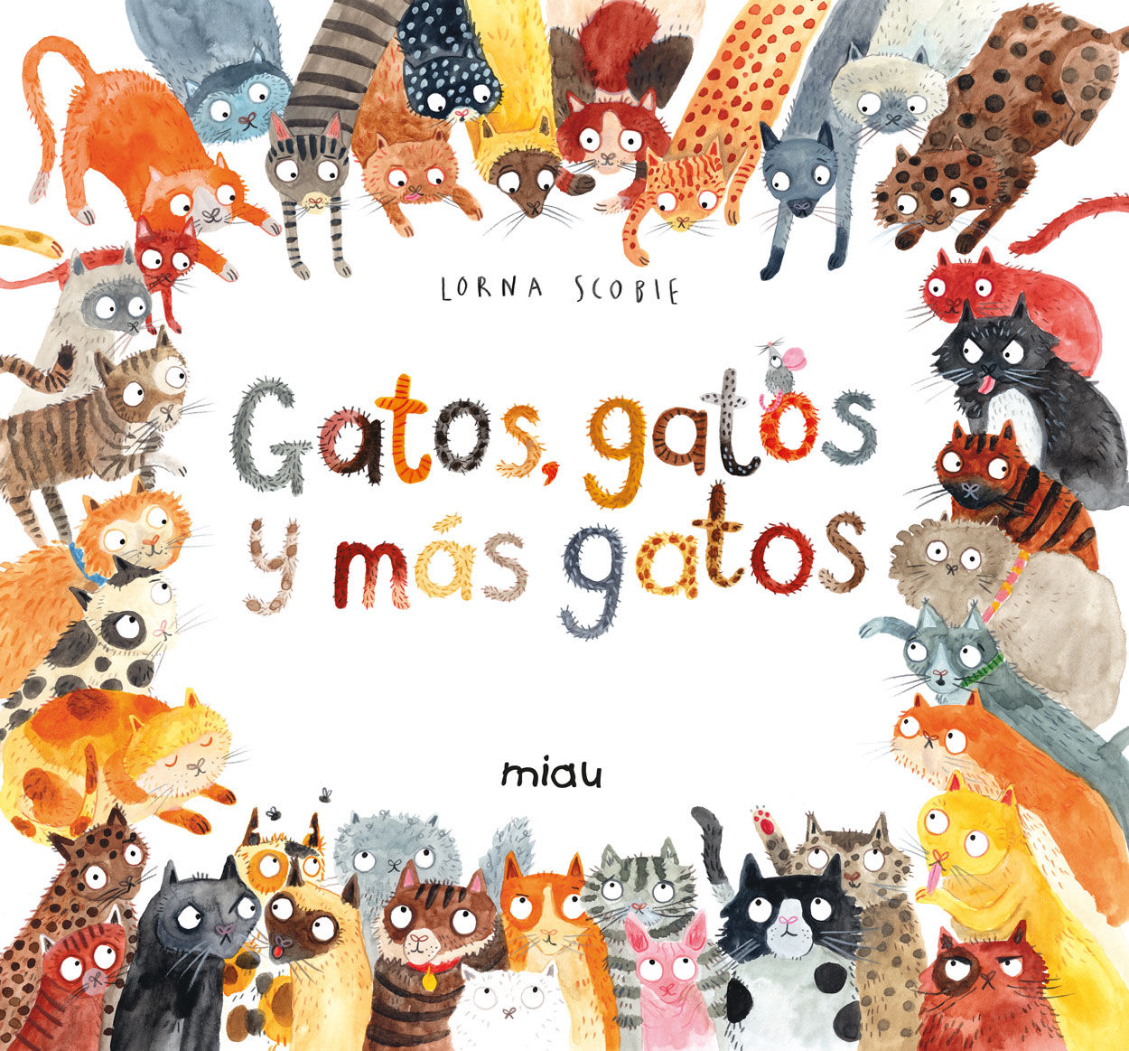 GATOS, GATOS Y MÁS GATOS. 