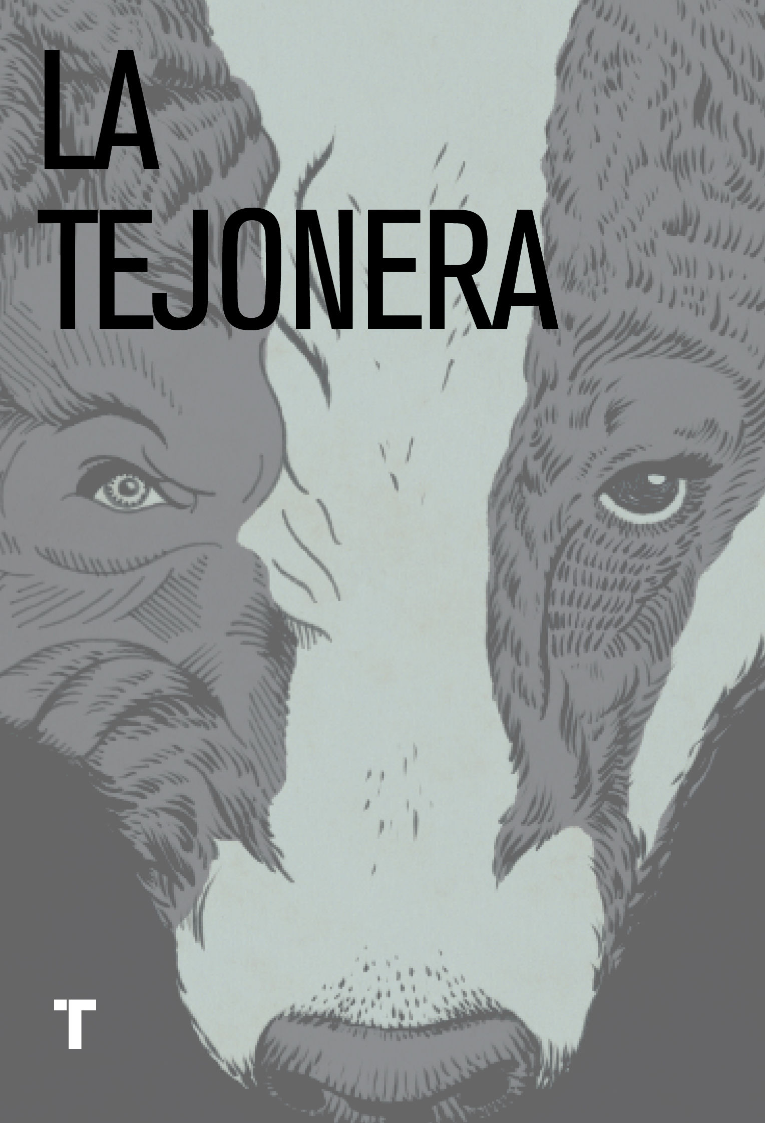 LA TEJONERA. 