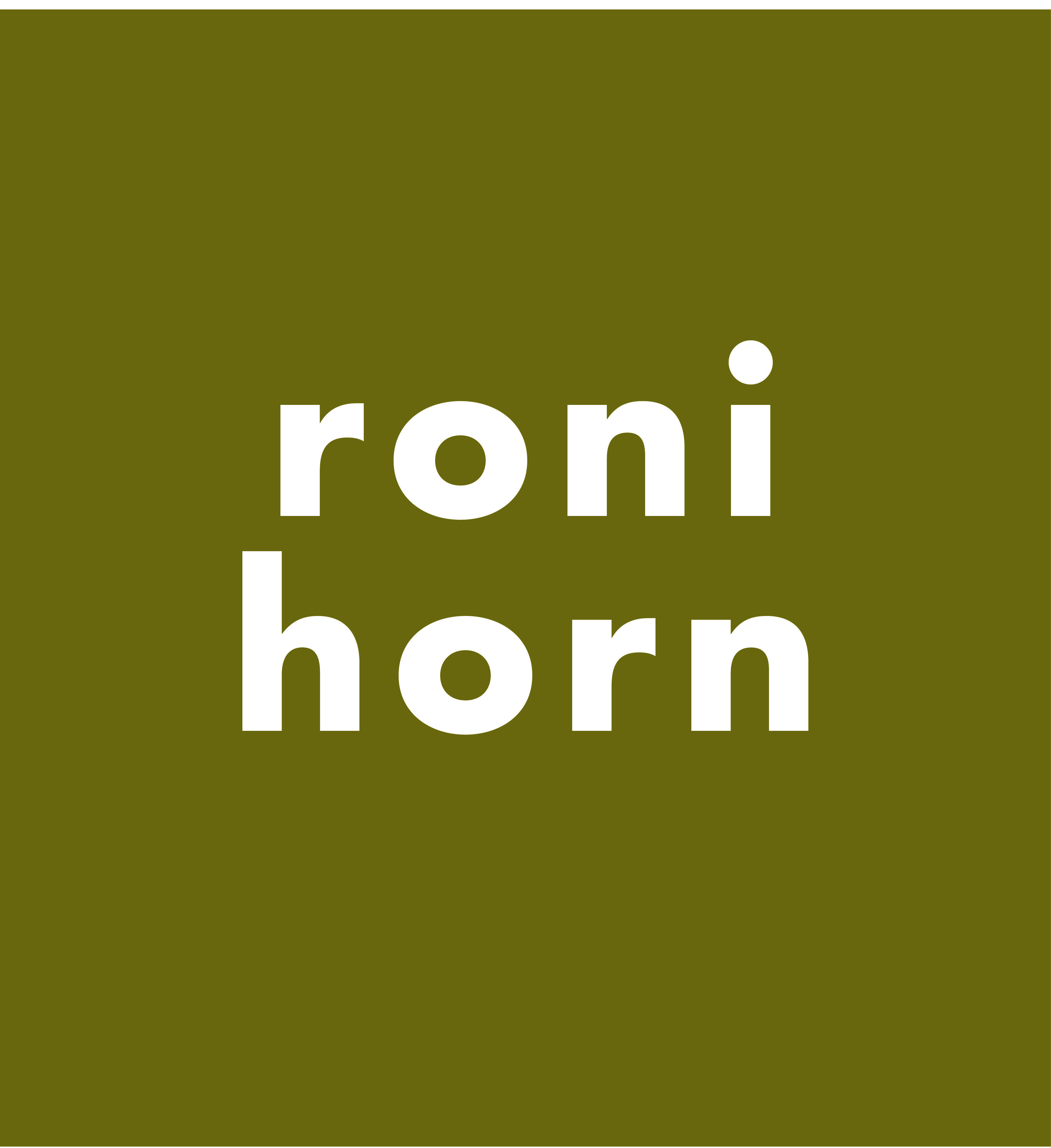 RONI HORN