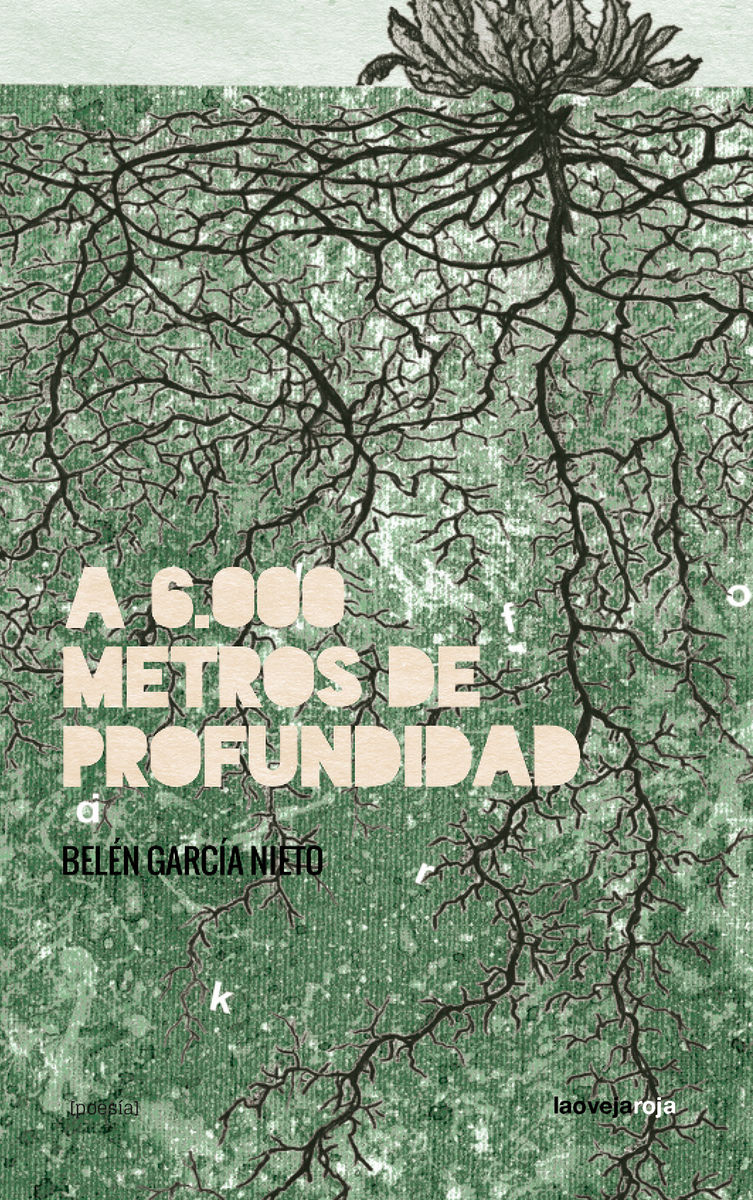 A 6.000 METROS DE PROFUNDIDAD. 