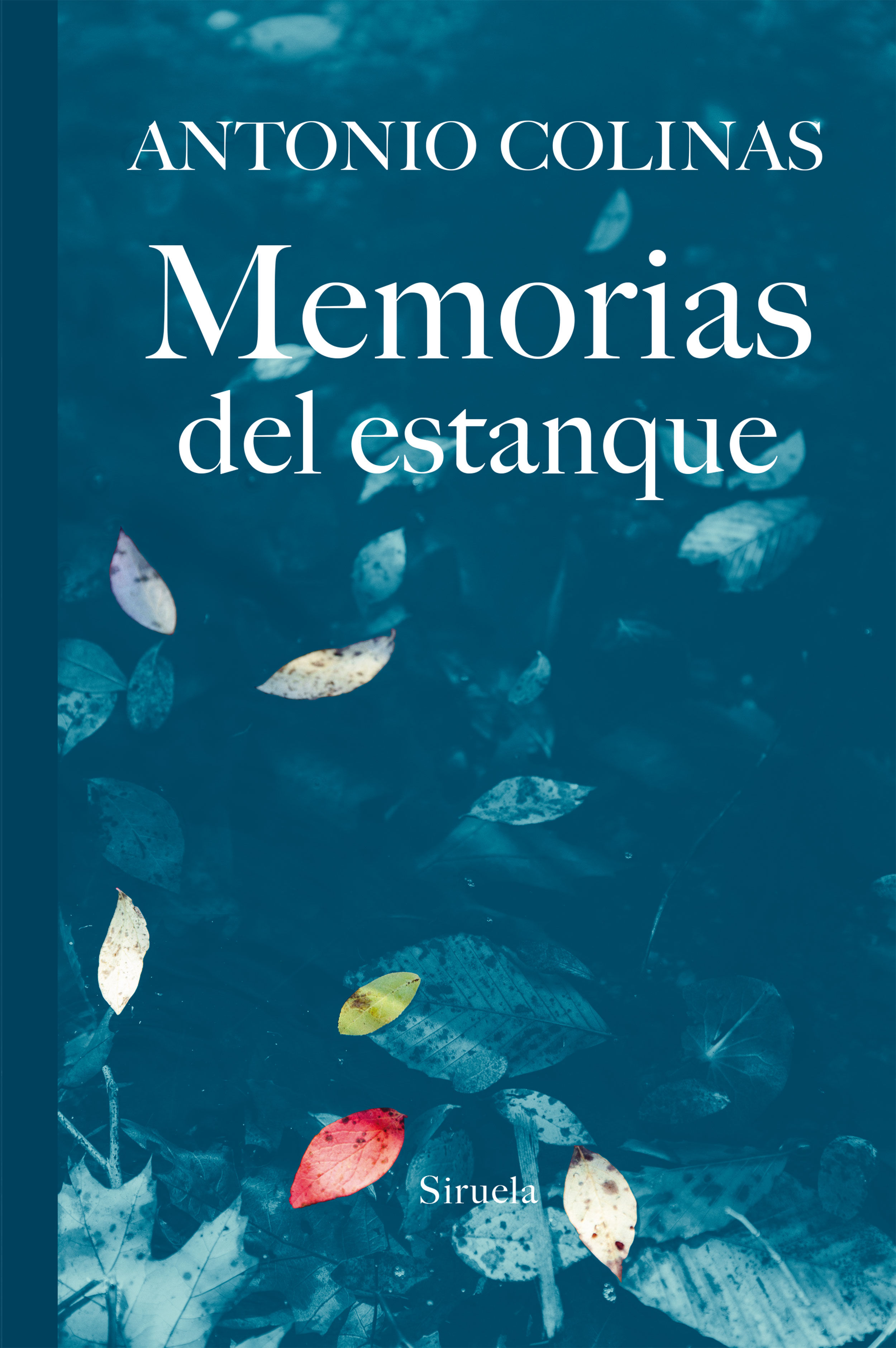 MEMORIAS DEL ESTANQUE. 