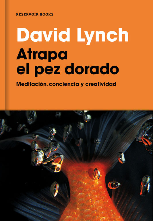 ATRAPA EL PEZ DORADO. MEDITACIÓN, CONCIENCIA Y CREATIVIDAD